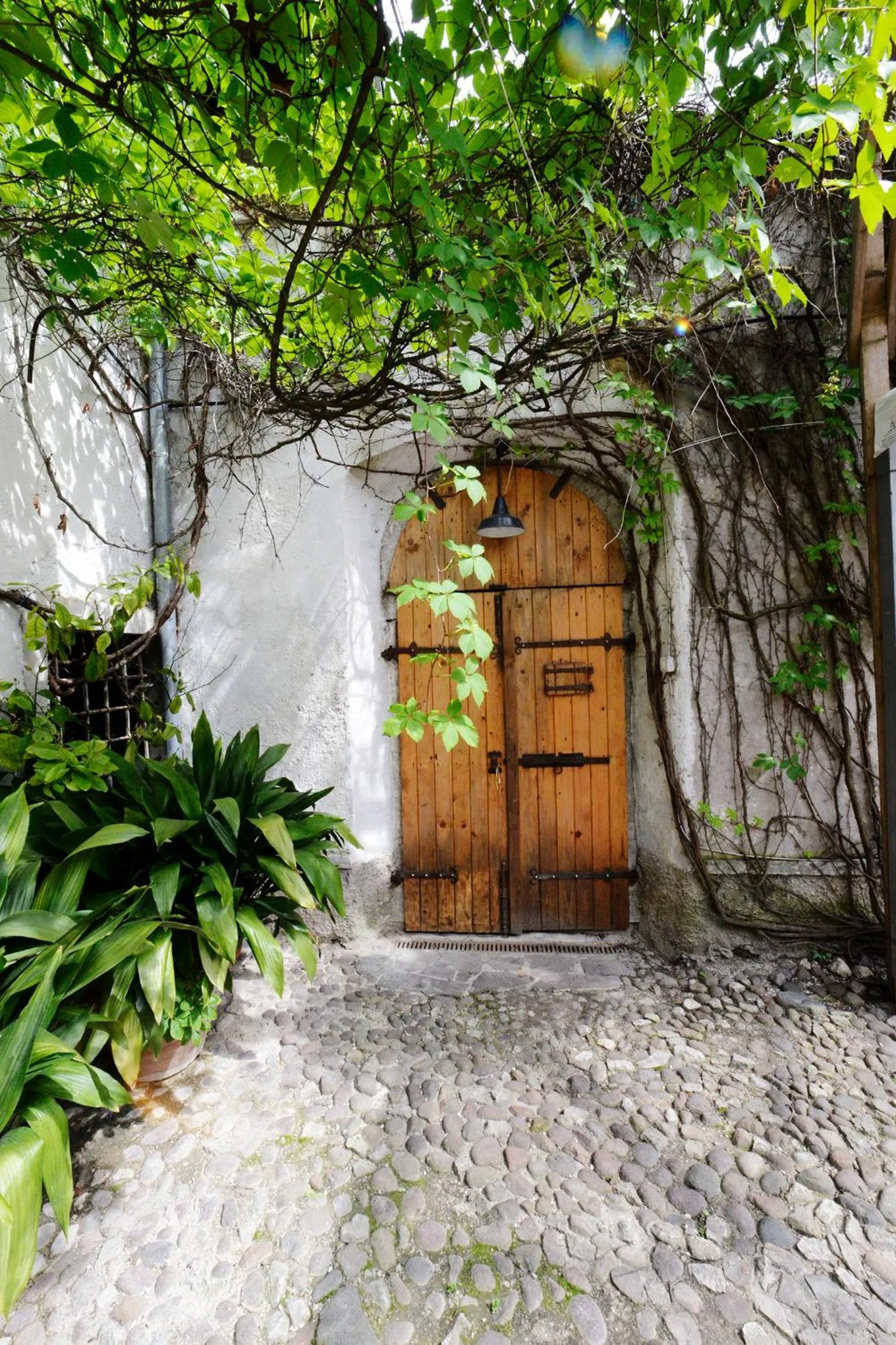 Other in Villa Bertagnolli - Locanda Del Bel Sorriso