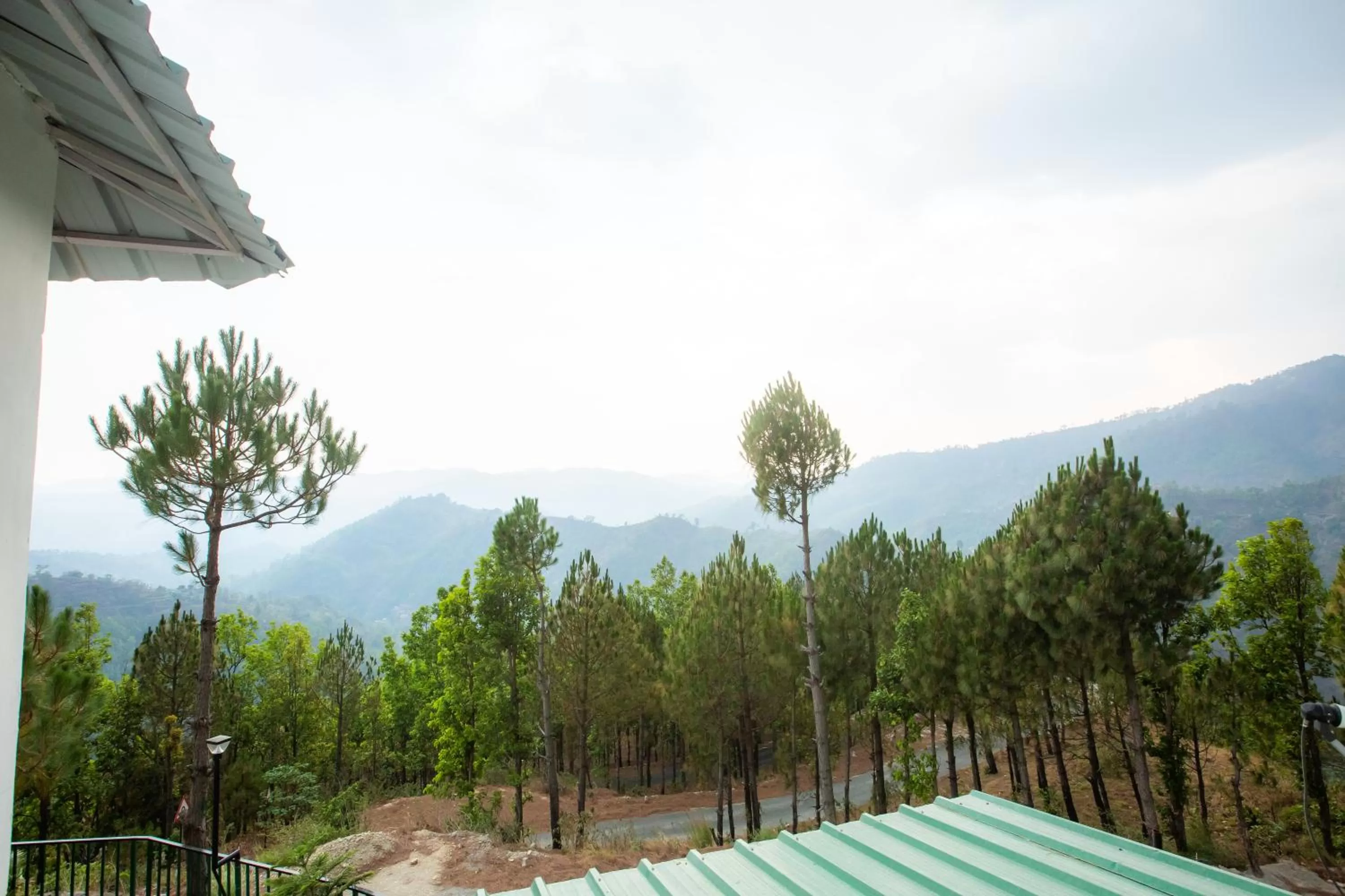 Mountain View in Blue Pine Orchards - Villas