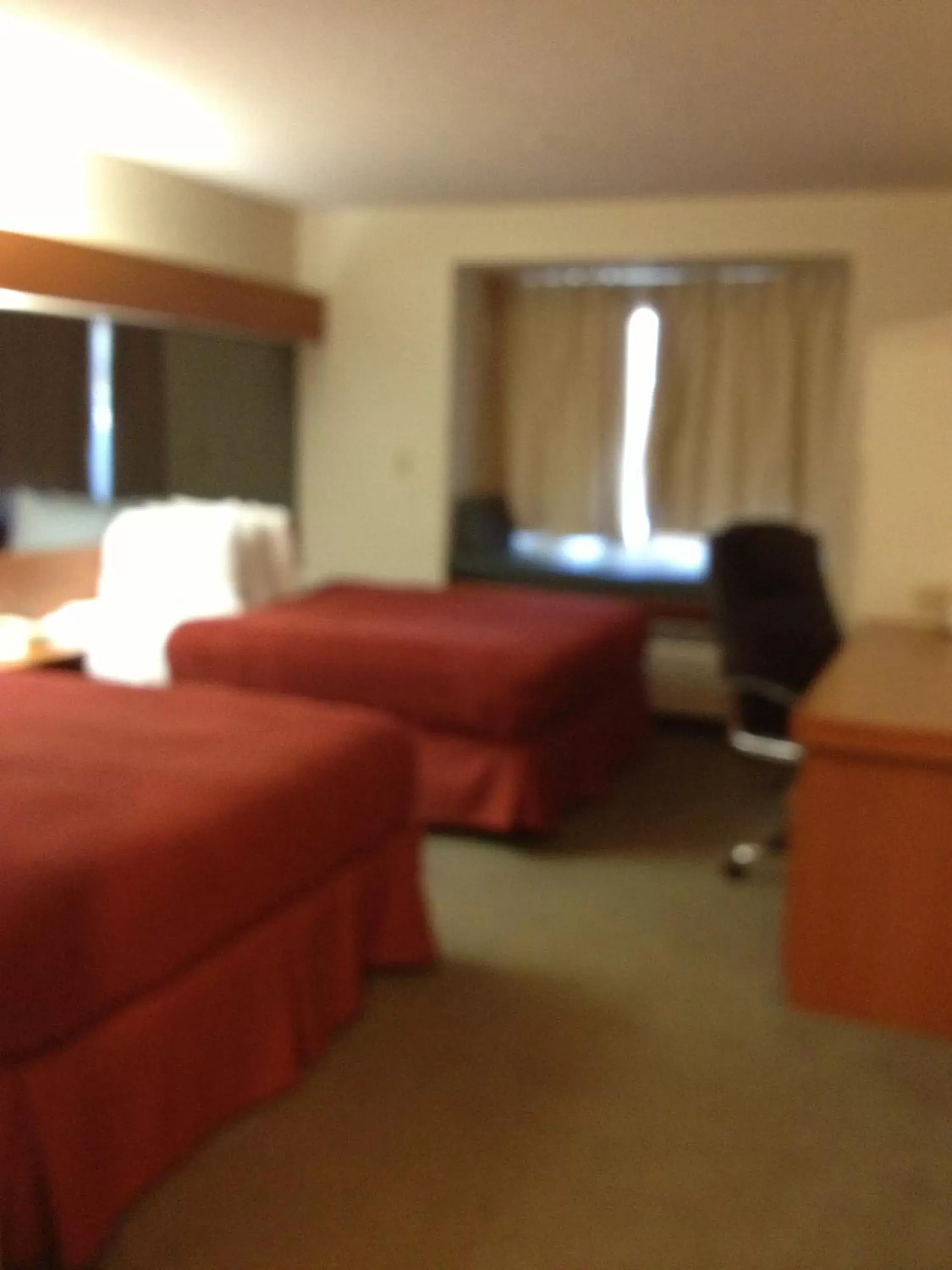 Bed in Microtel Inn & Suites by Wyndham Denver Airport