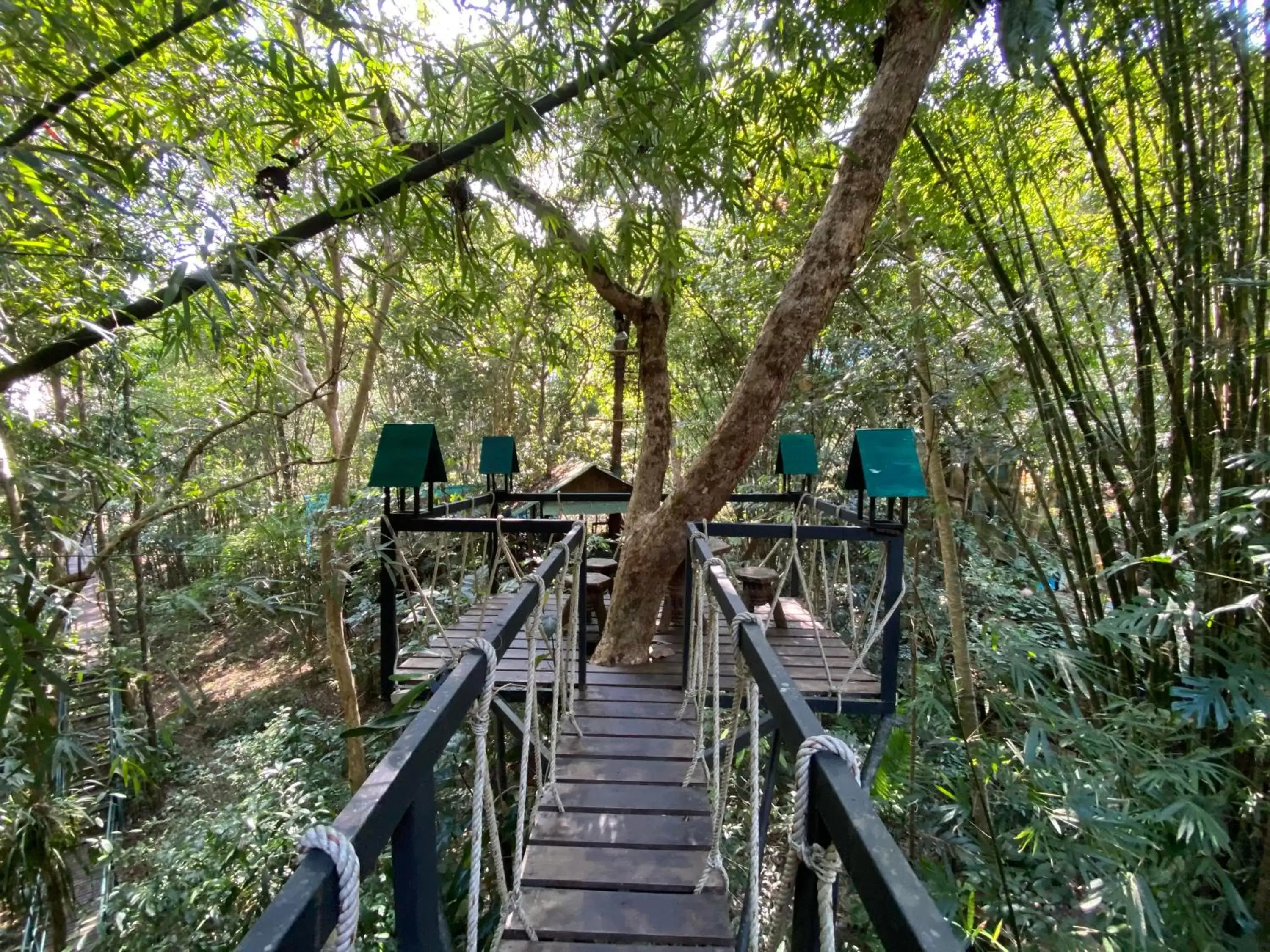 Natural landscape in Khao Sok Tree House Resort