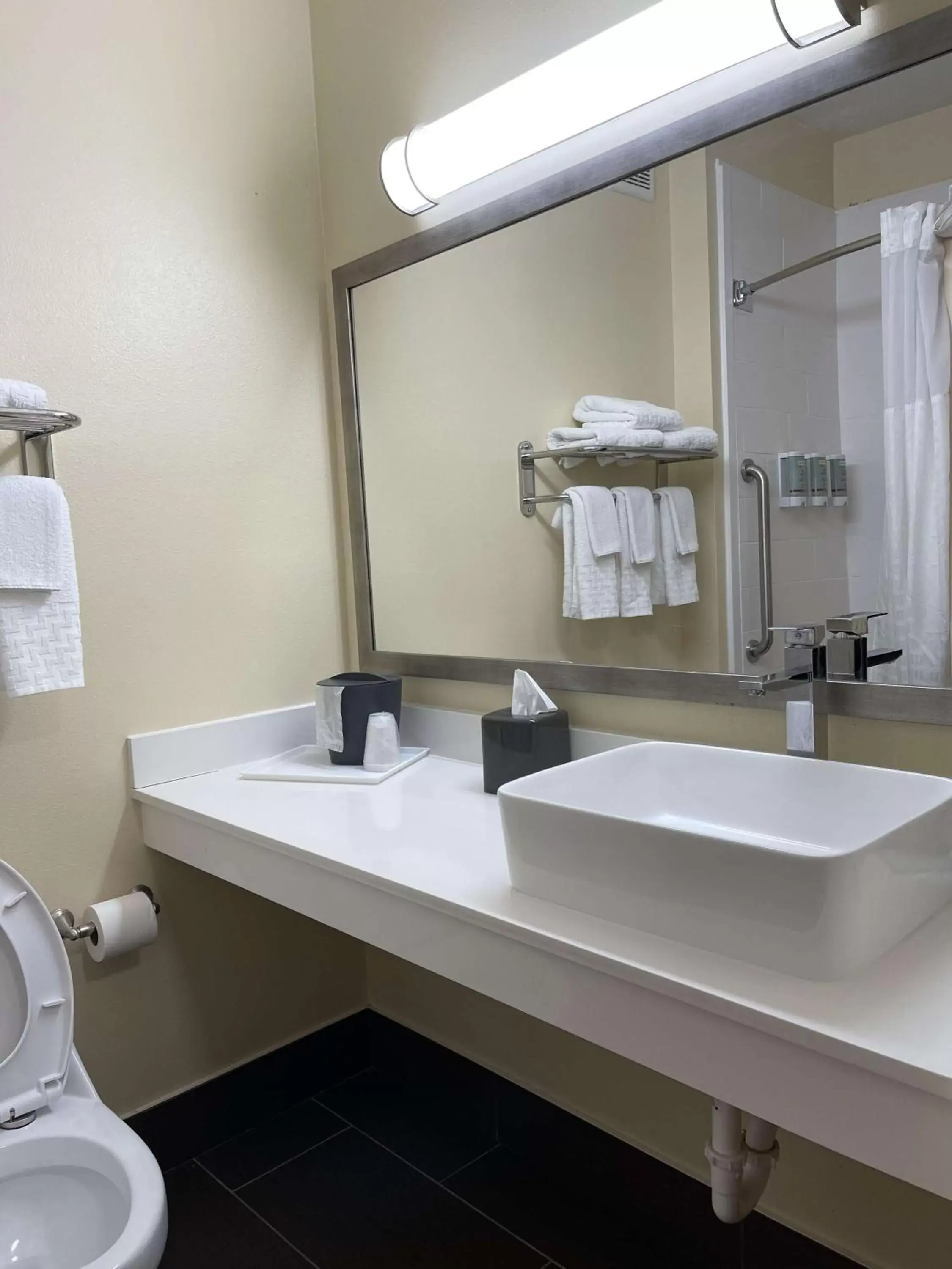 Bathroom in Best Western Kokomo Hotel