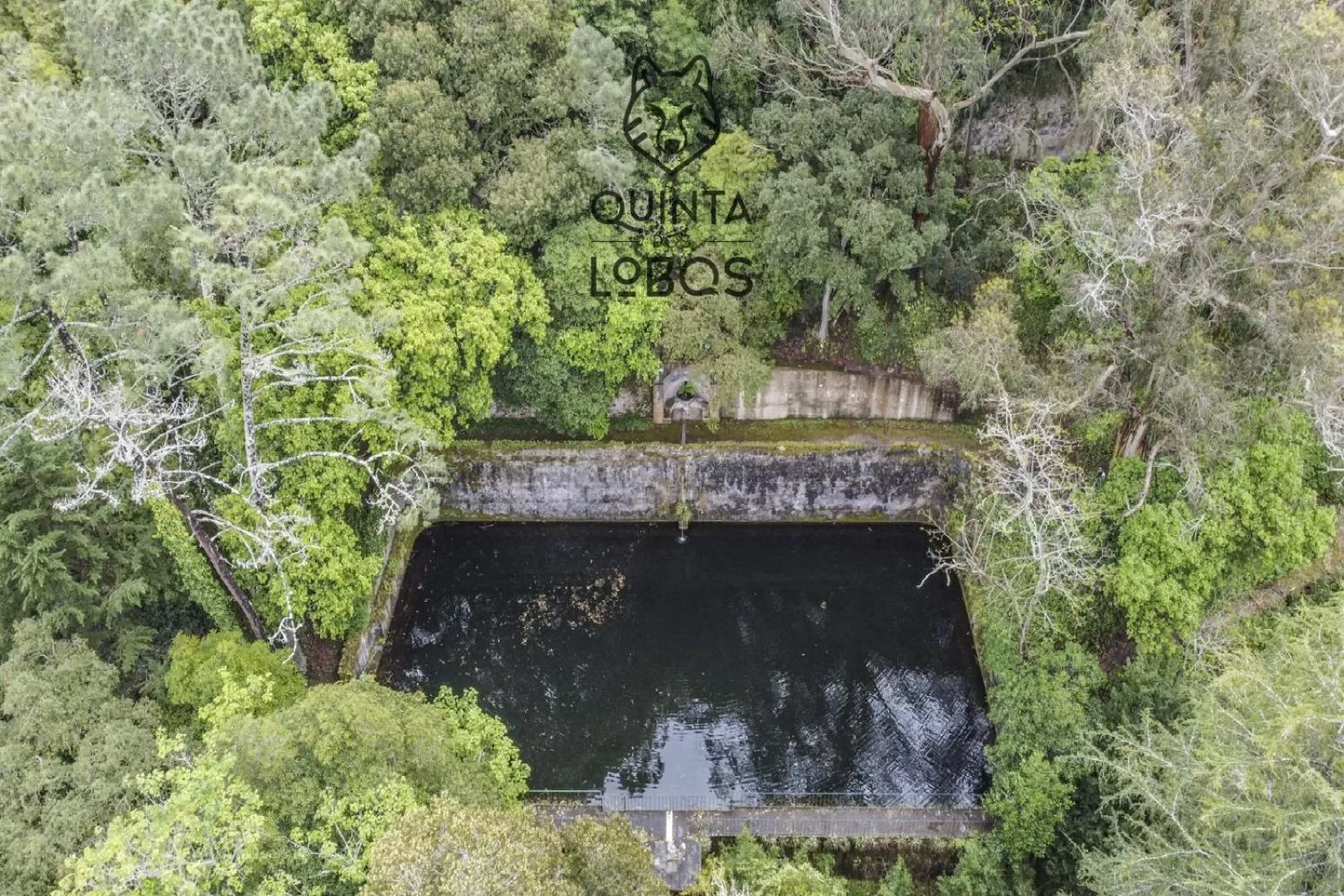 Natural landscape in Quinta dos Lobos Boutique Hotel - Nature Experience