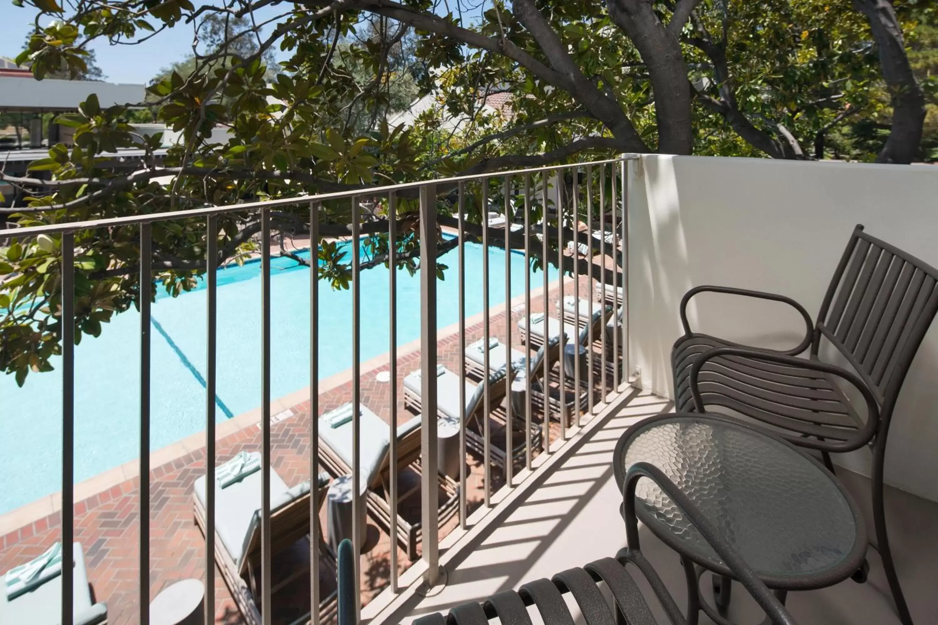 Swimming pool, Balcony/Terrace in Sheraton Palo Alto Hotel