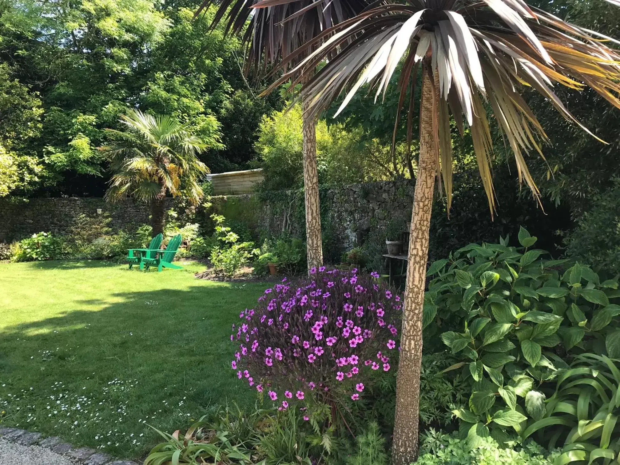 Garden in Hotel de France