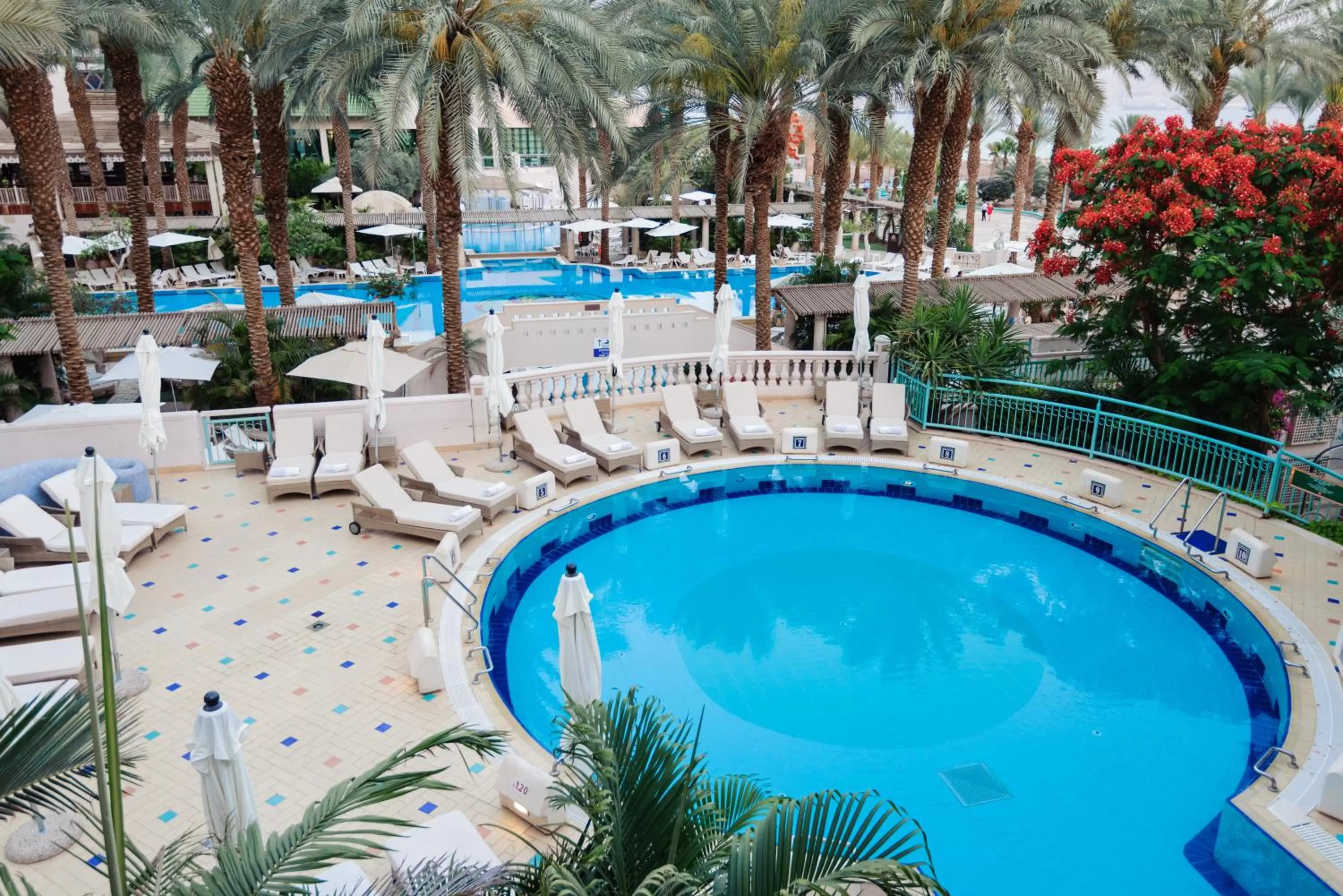 Swimming pool in Herods Vitalis Spa Hotel Eilat a Premium collection by Fattal Hotels