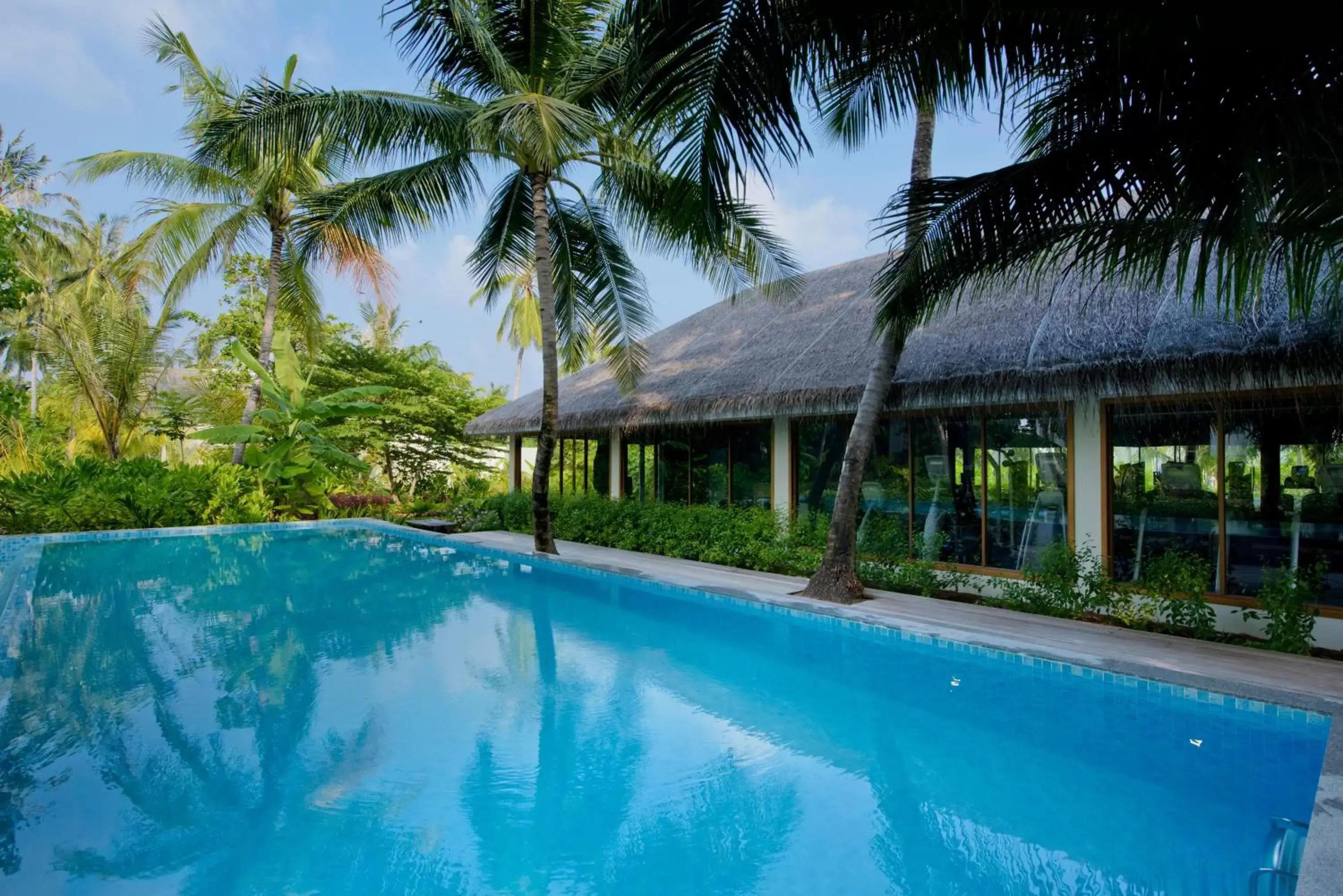 Fitness centre/facilities, Swimming Pool in Kandima Maldives