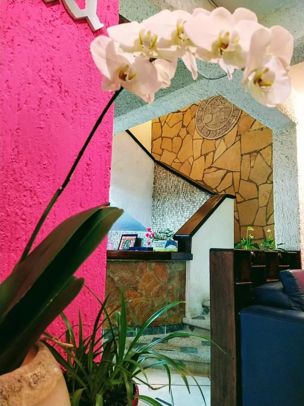 Lobby or reception in Hotel Antigua