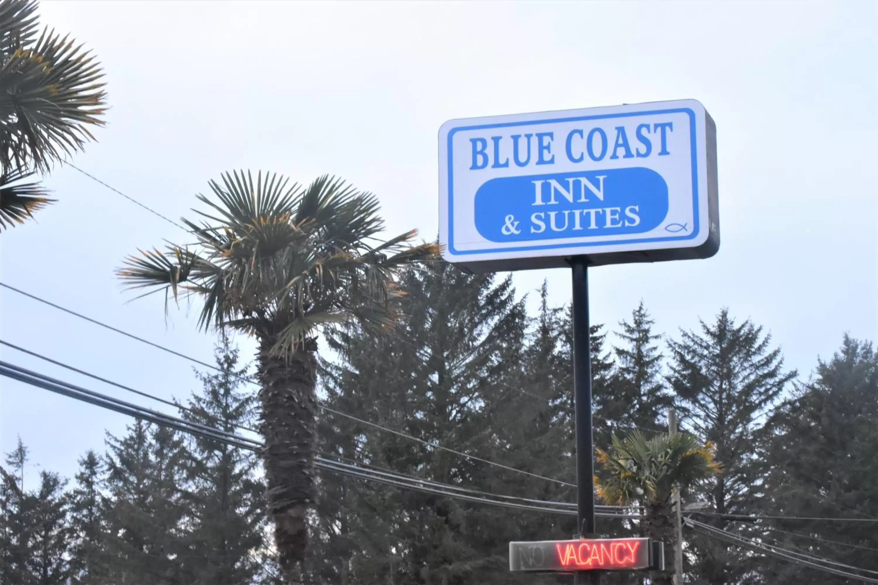 Property logo or sign in Blue Coast Inn & Suites