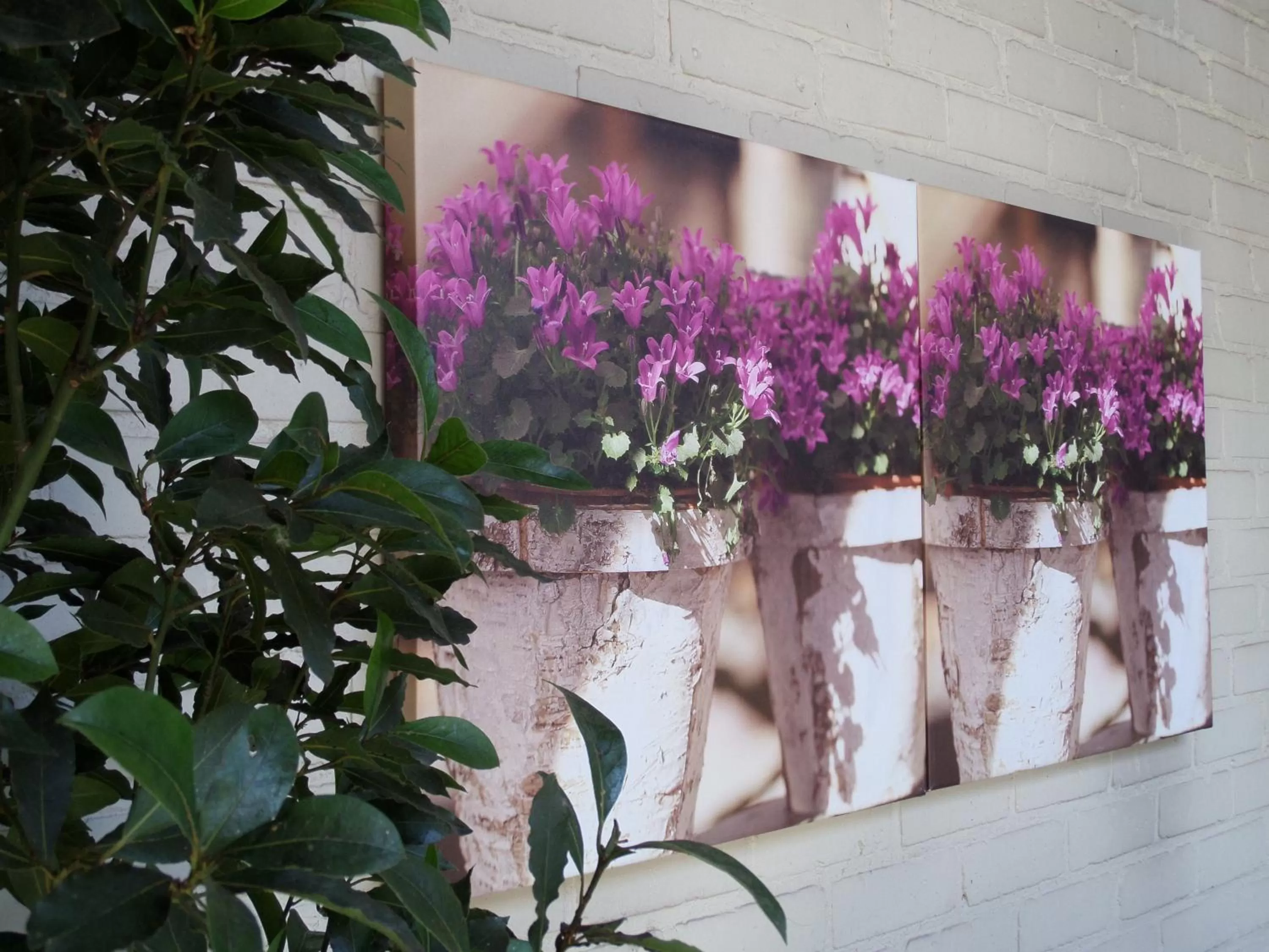 Decorative detail in B&B Aurora