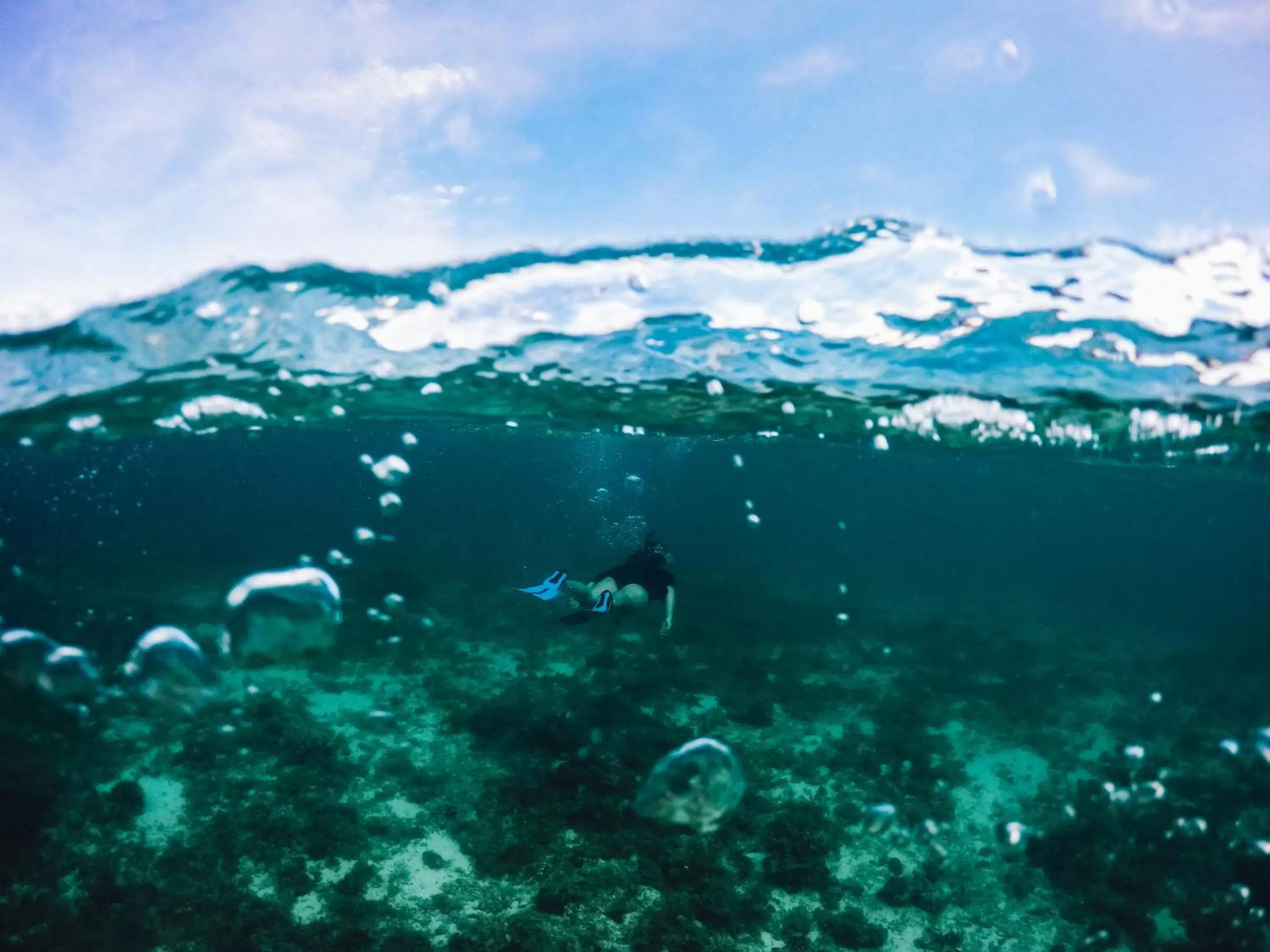 Diving in Turtle Bay Dive Resort