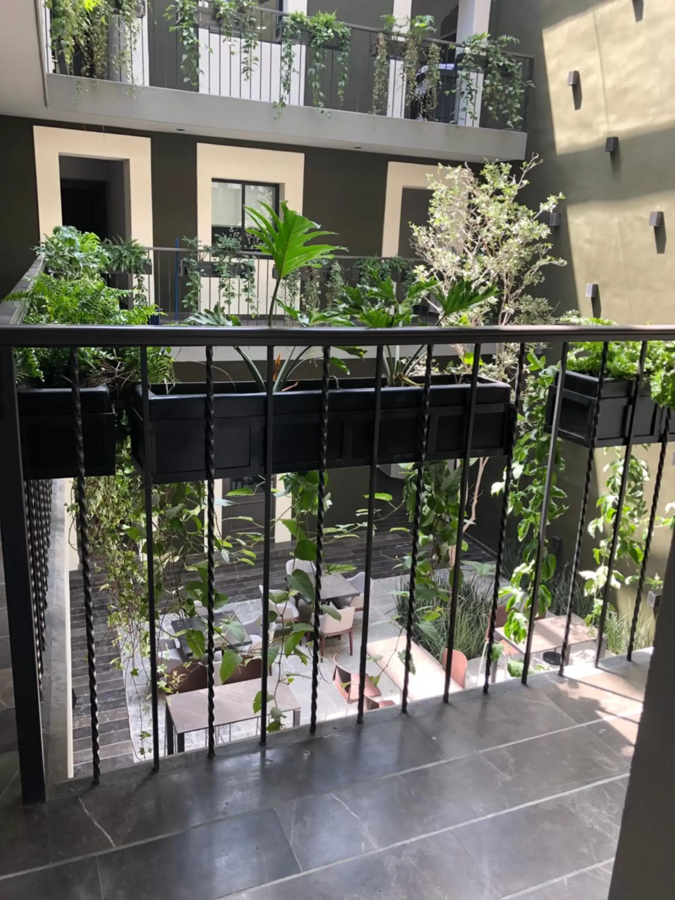 Balcony/Terrace in Hotel Isabel