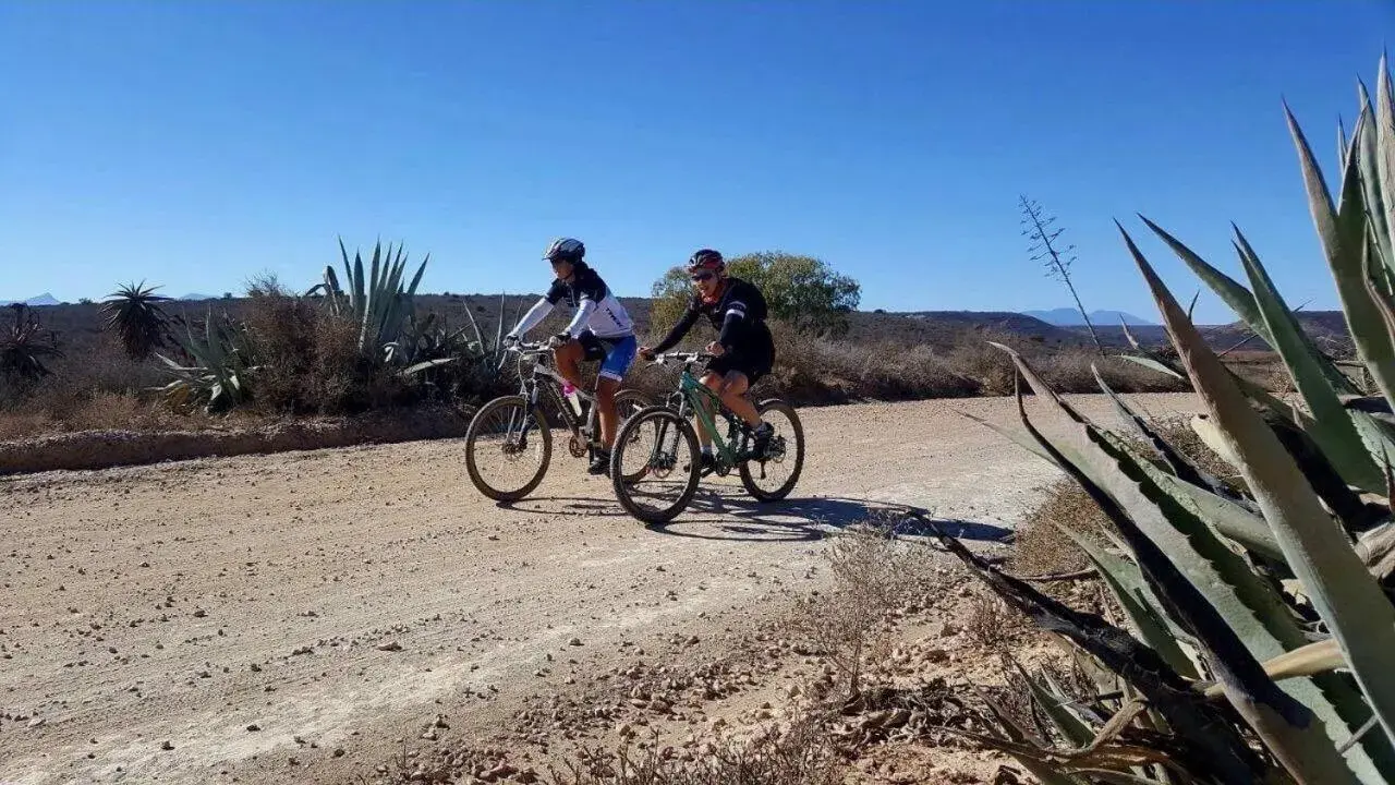 Cycling, Biking in Riverside Guest Lodge