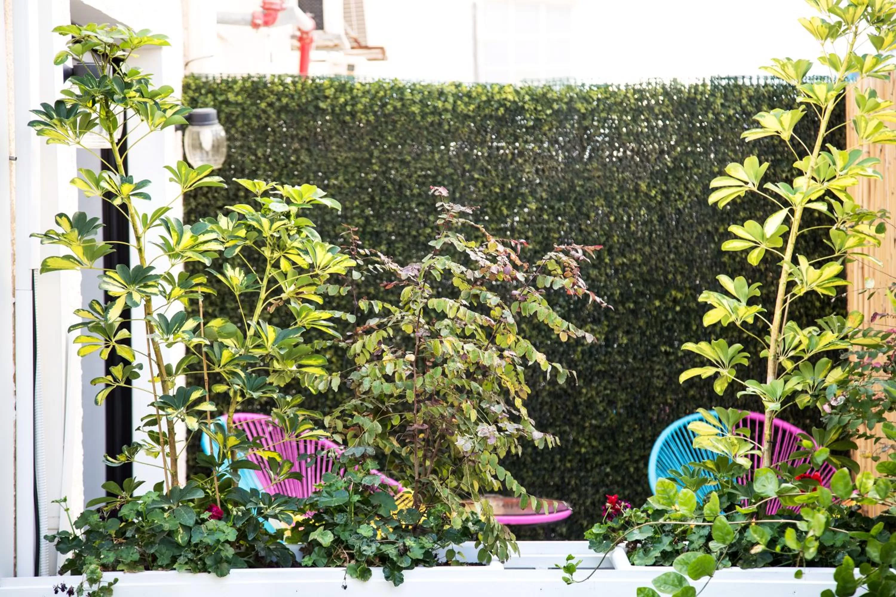 Shtarkman Erna Boutique Hotel Nahariya