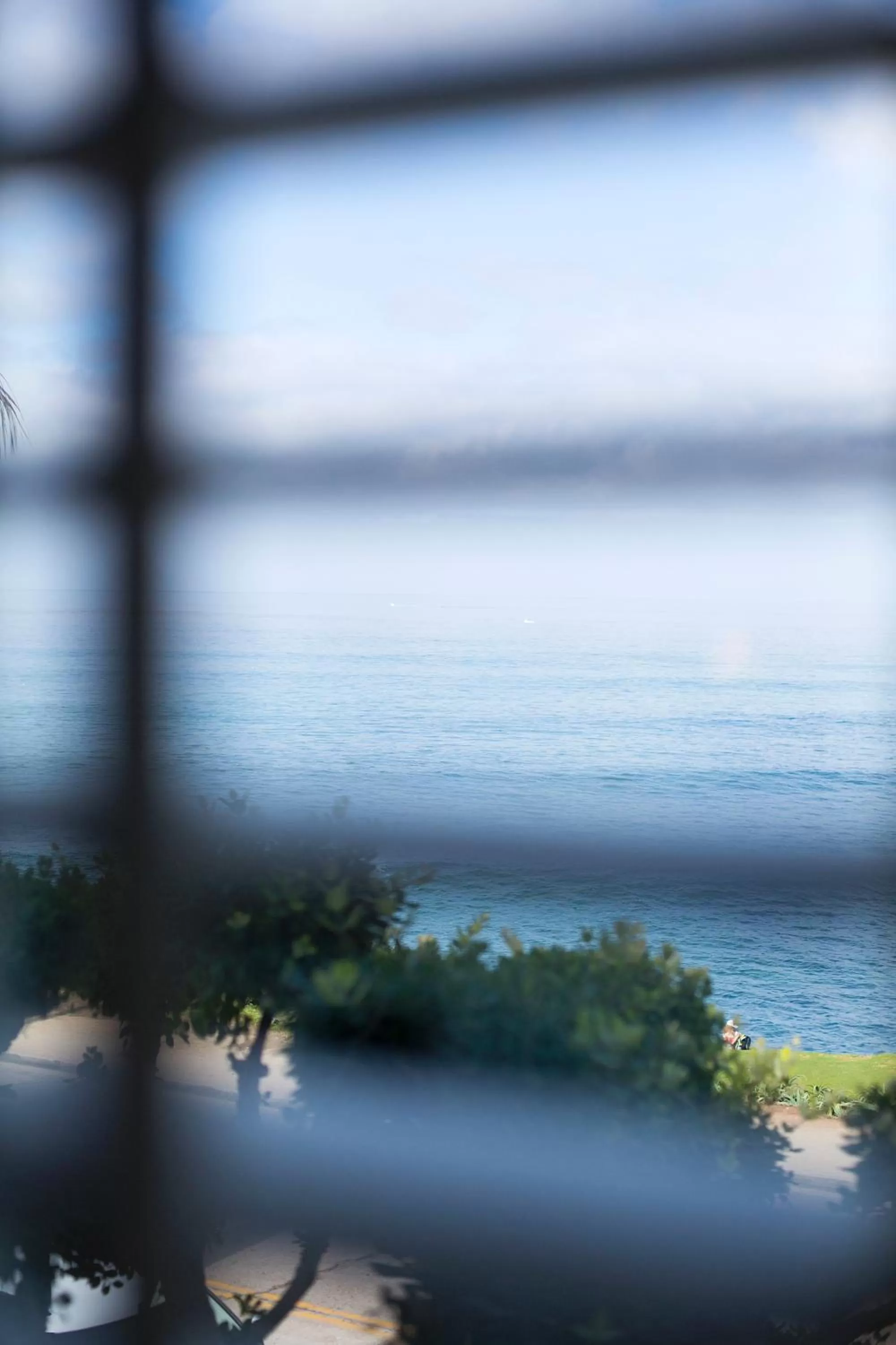 Sea view in Scripps Inn