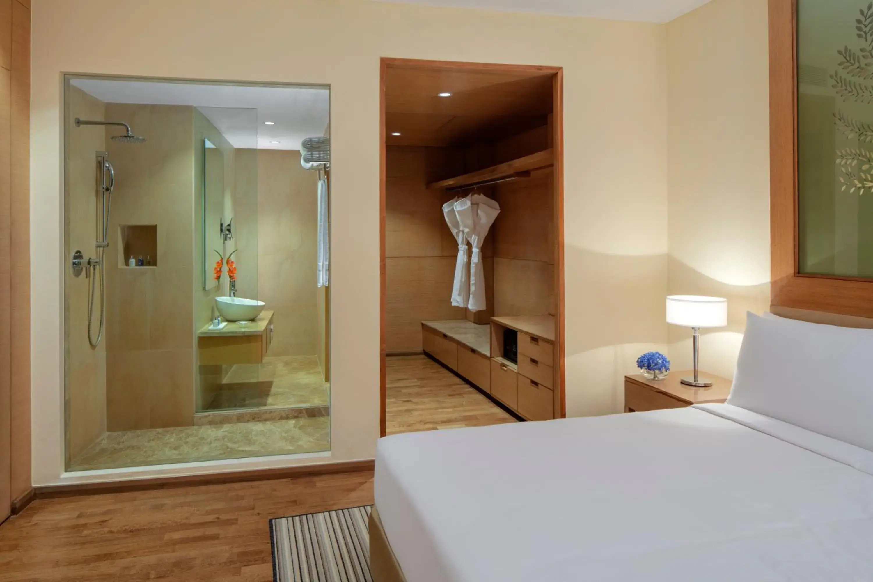 Bathroom, Bed in Radisson Blu Hotel New Delhi Dwarka