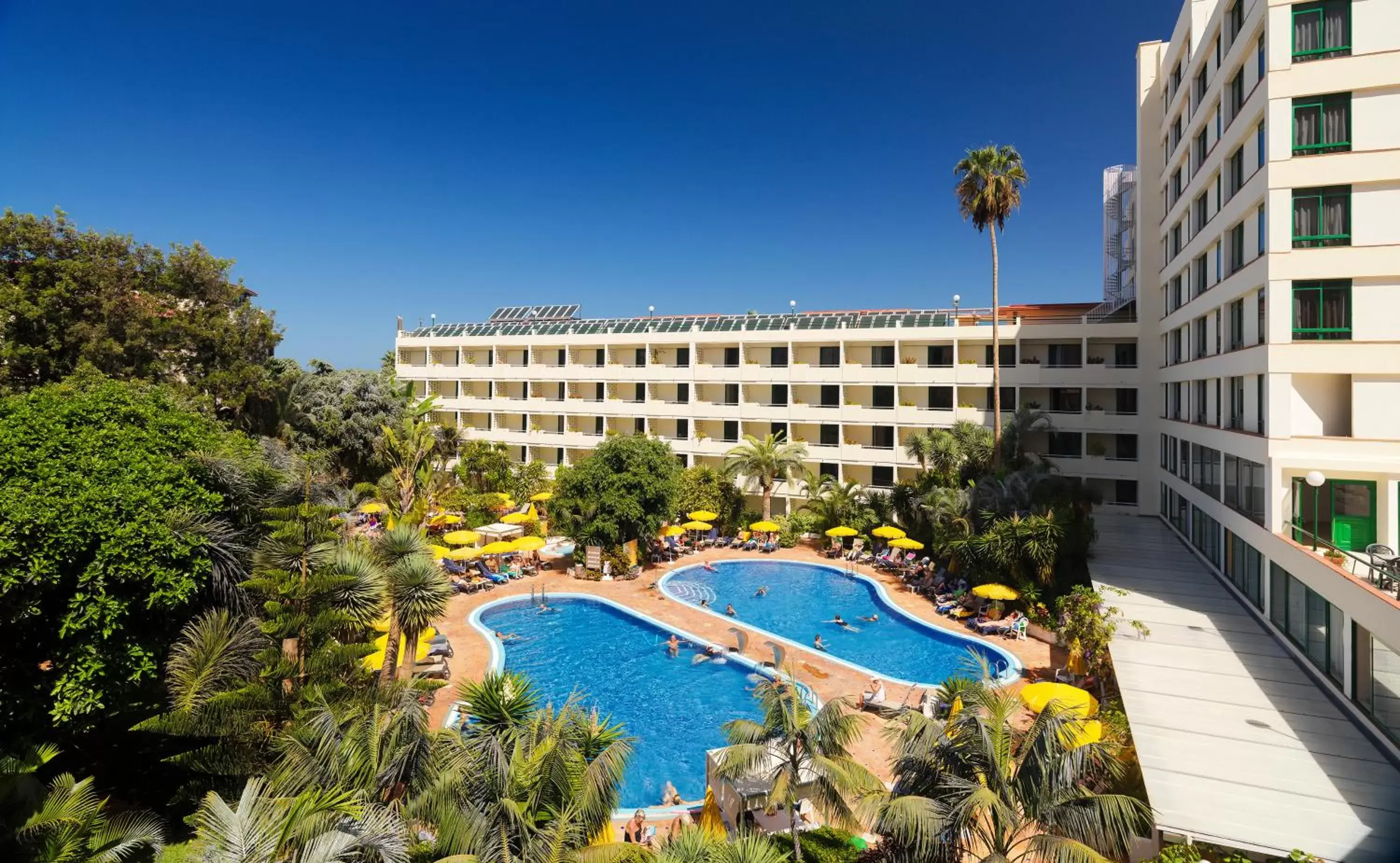 Swimming pool, Pool View in H10 Tenerife Playa