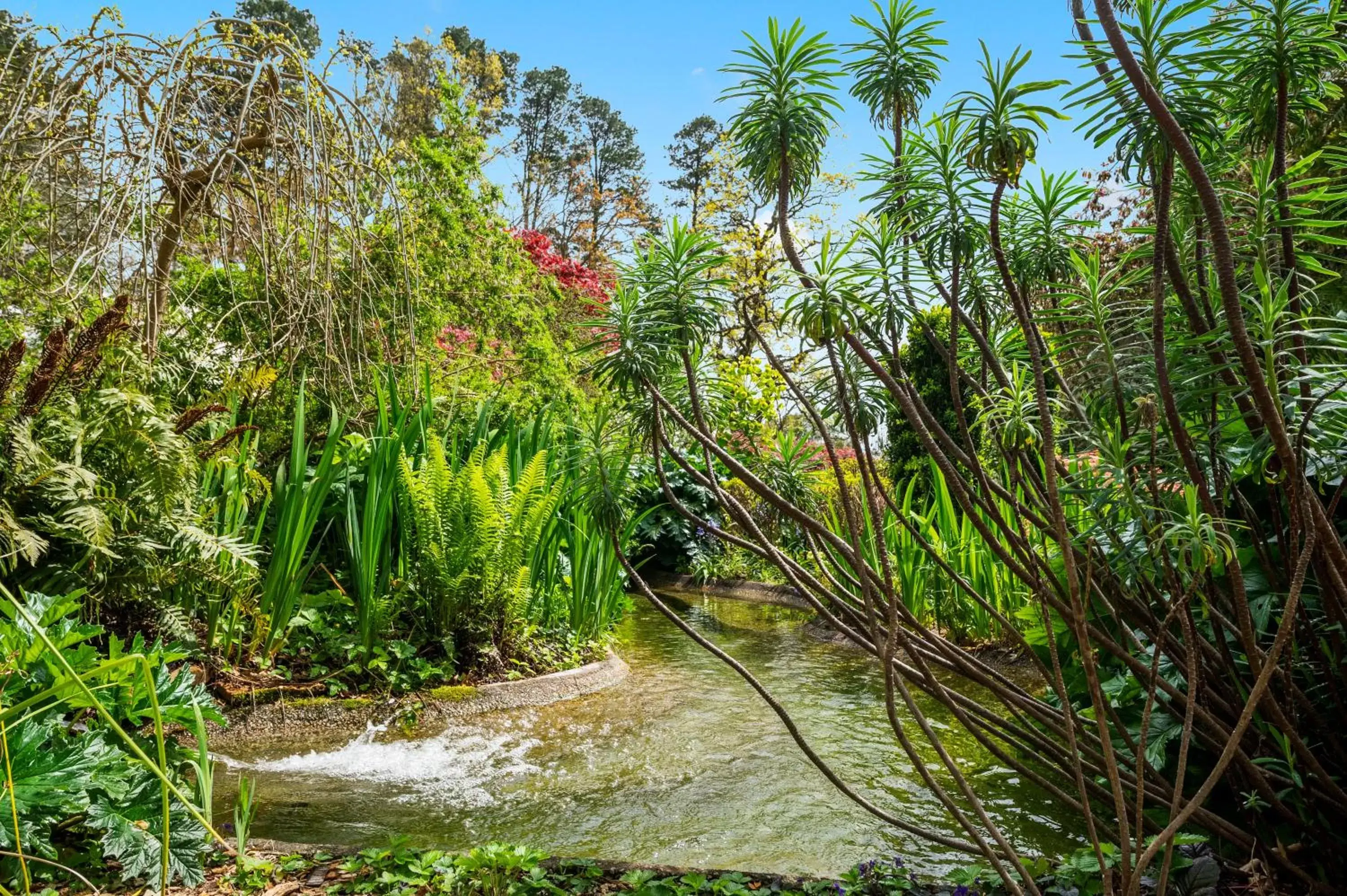 Natural landscape, Garden in Parklands Country Gardens & Lodges Blue Mountains