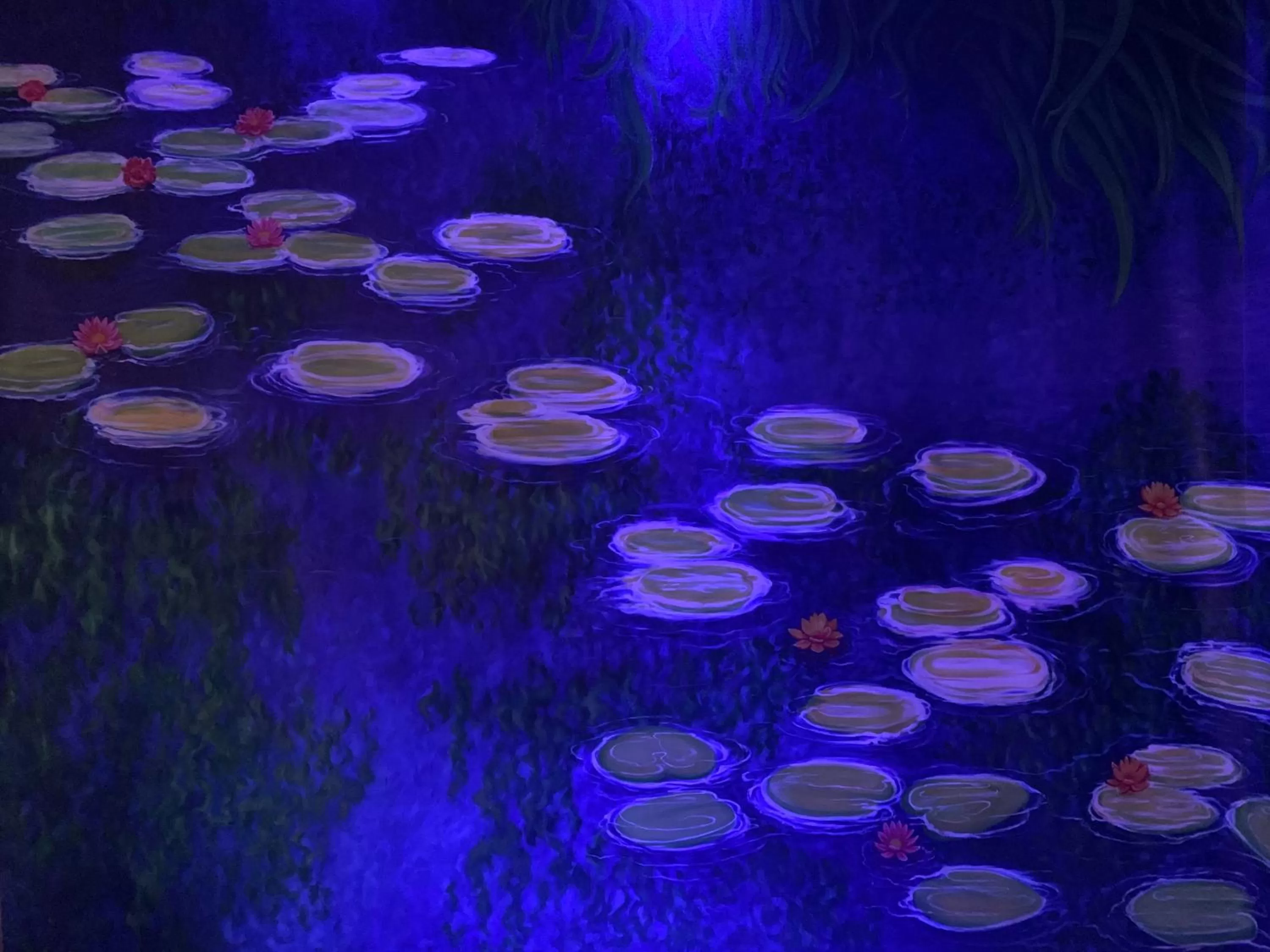 Night in Hotel Rosa Blu