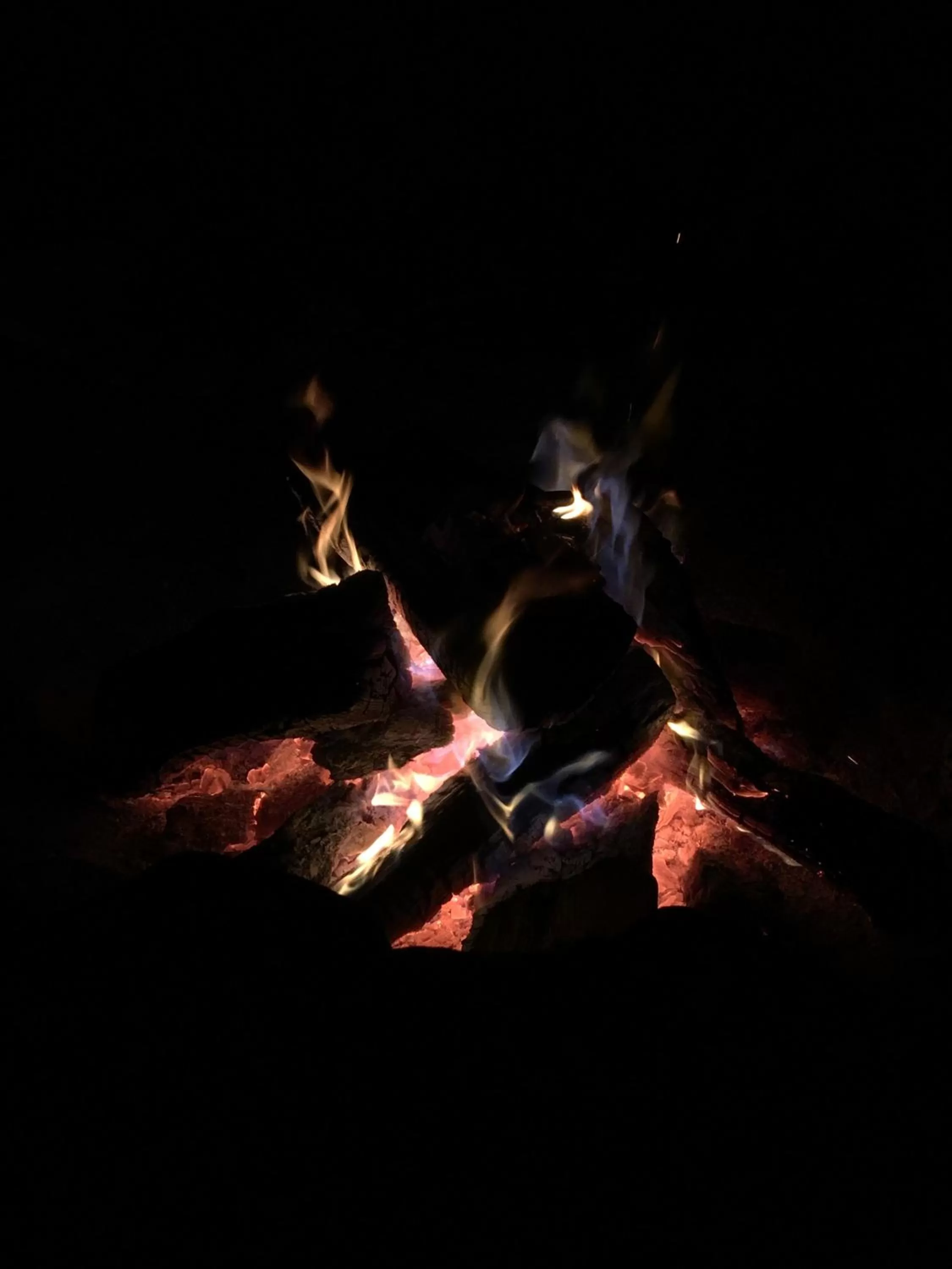 View (from property/room) in Cardinal Inn