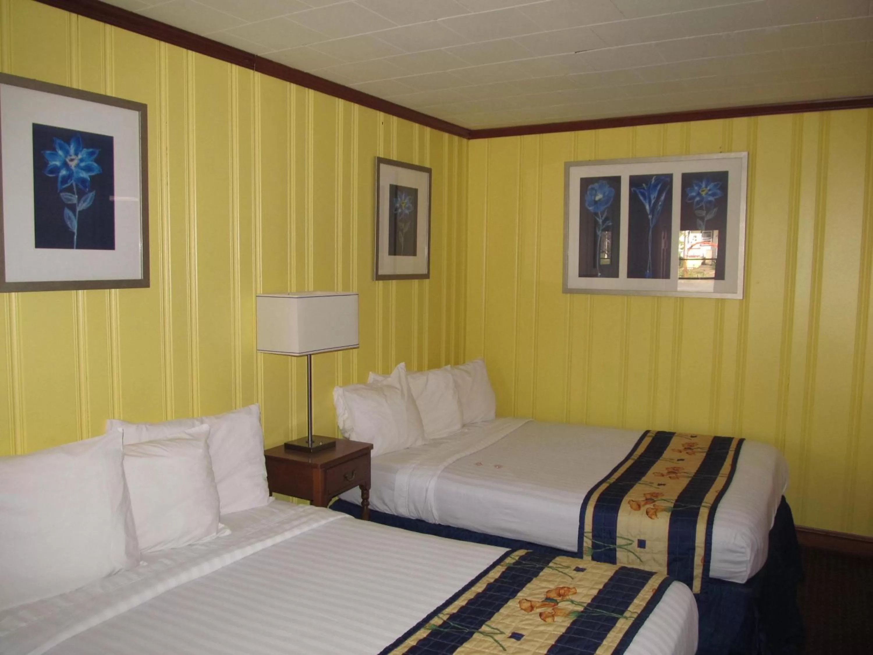 Bed in Hancock Motel