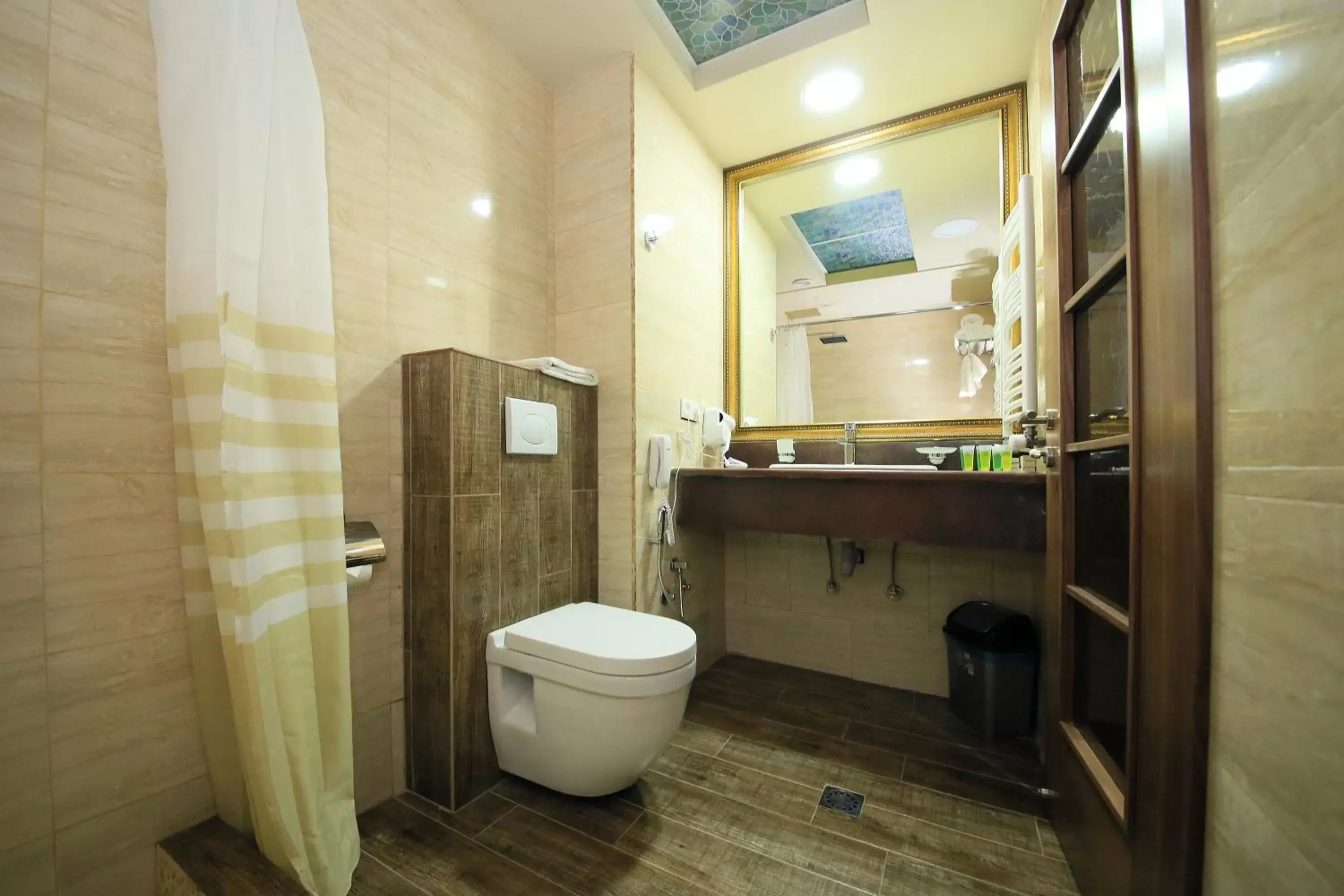 Toilet, Bathroom in Borjomi Palace Health & Spa Center