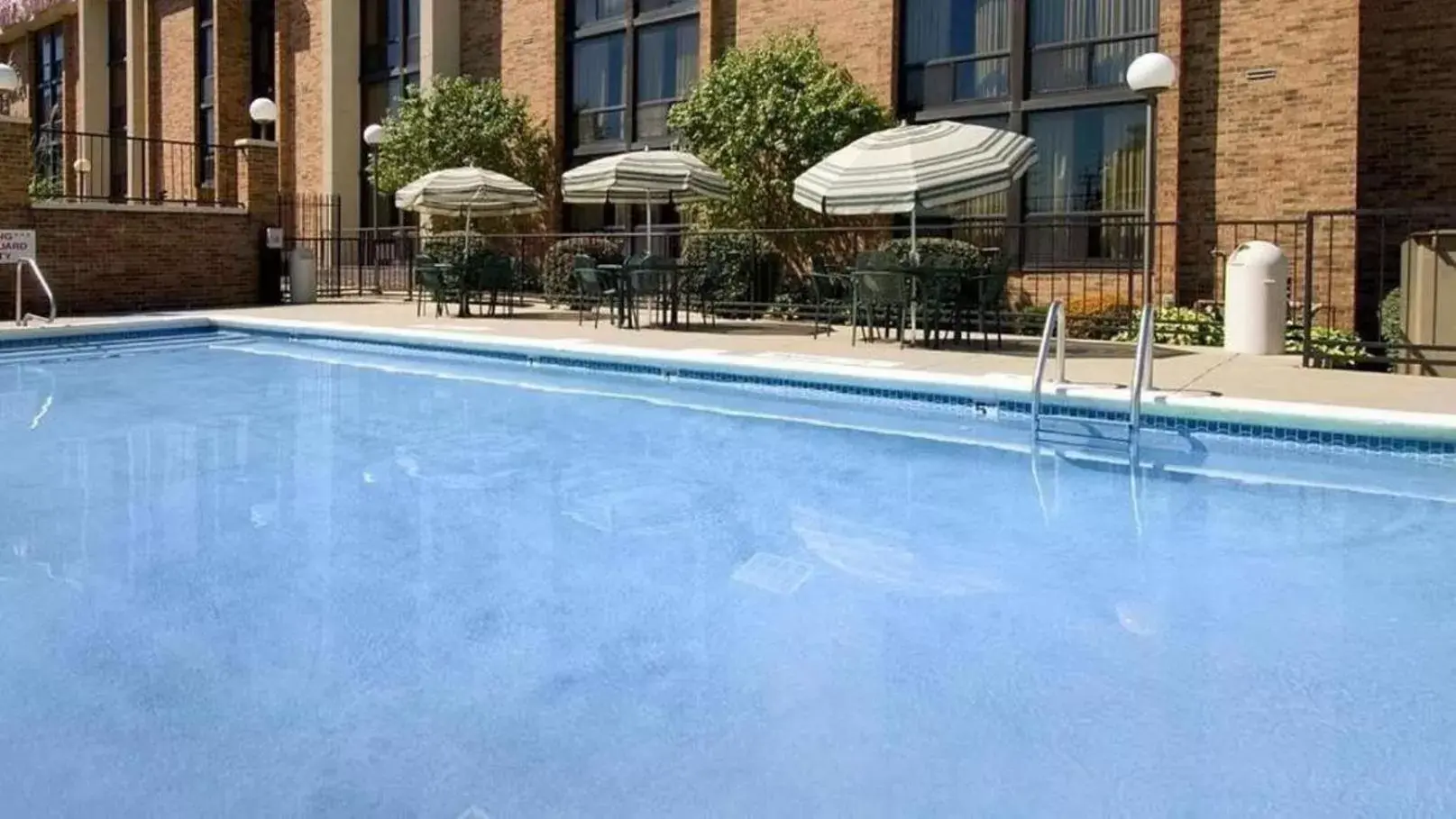 Swimming Pool in Hotel Lotus