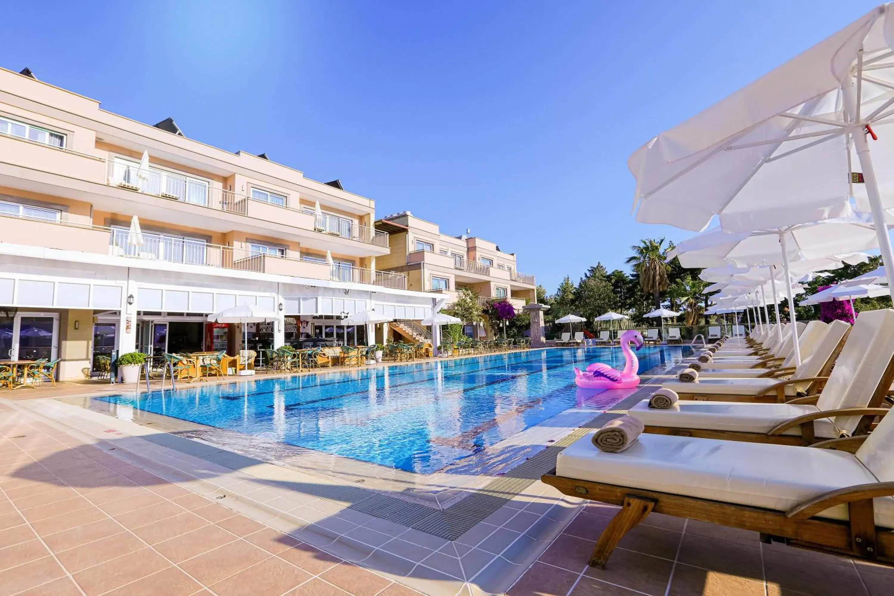 Swimming Pool in Happy Hotel