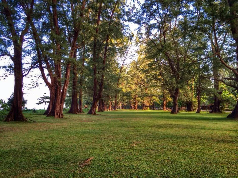 Chill House at Naiyang