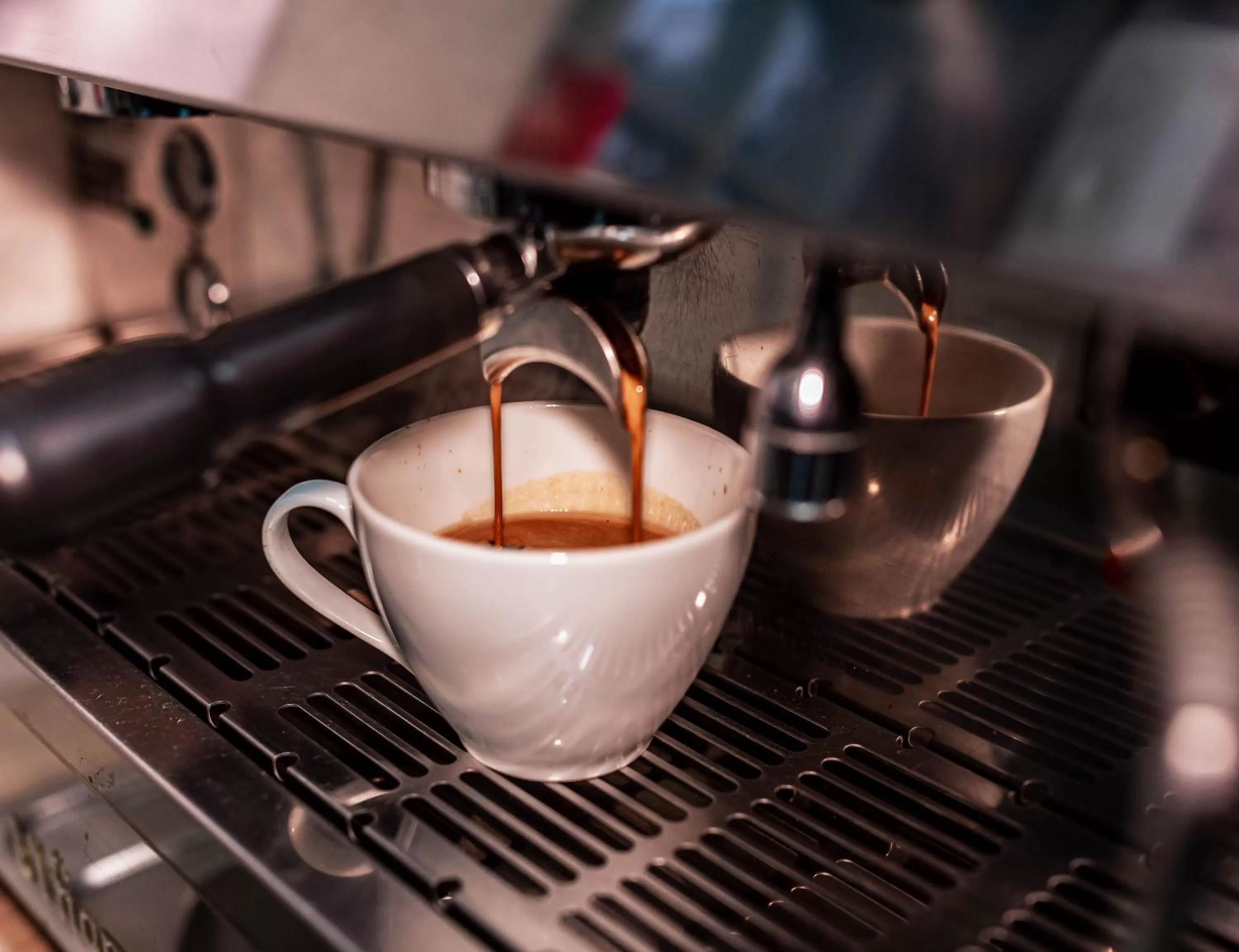 Restaurant/places to eat in Willa ŻeglarSki