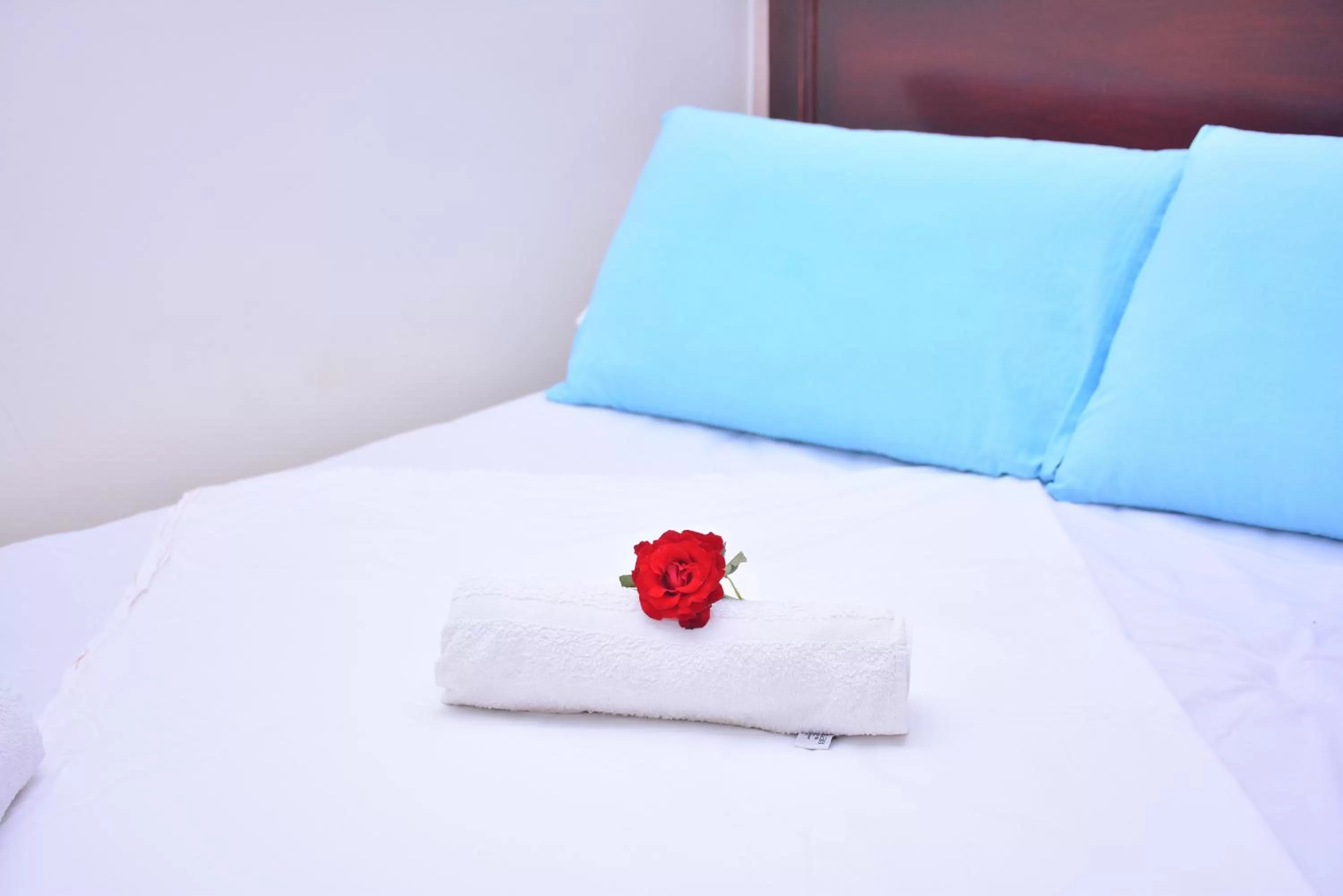 Bed in Hôtel Elfekri