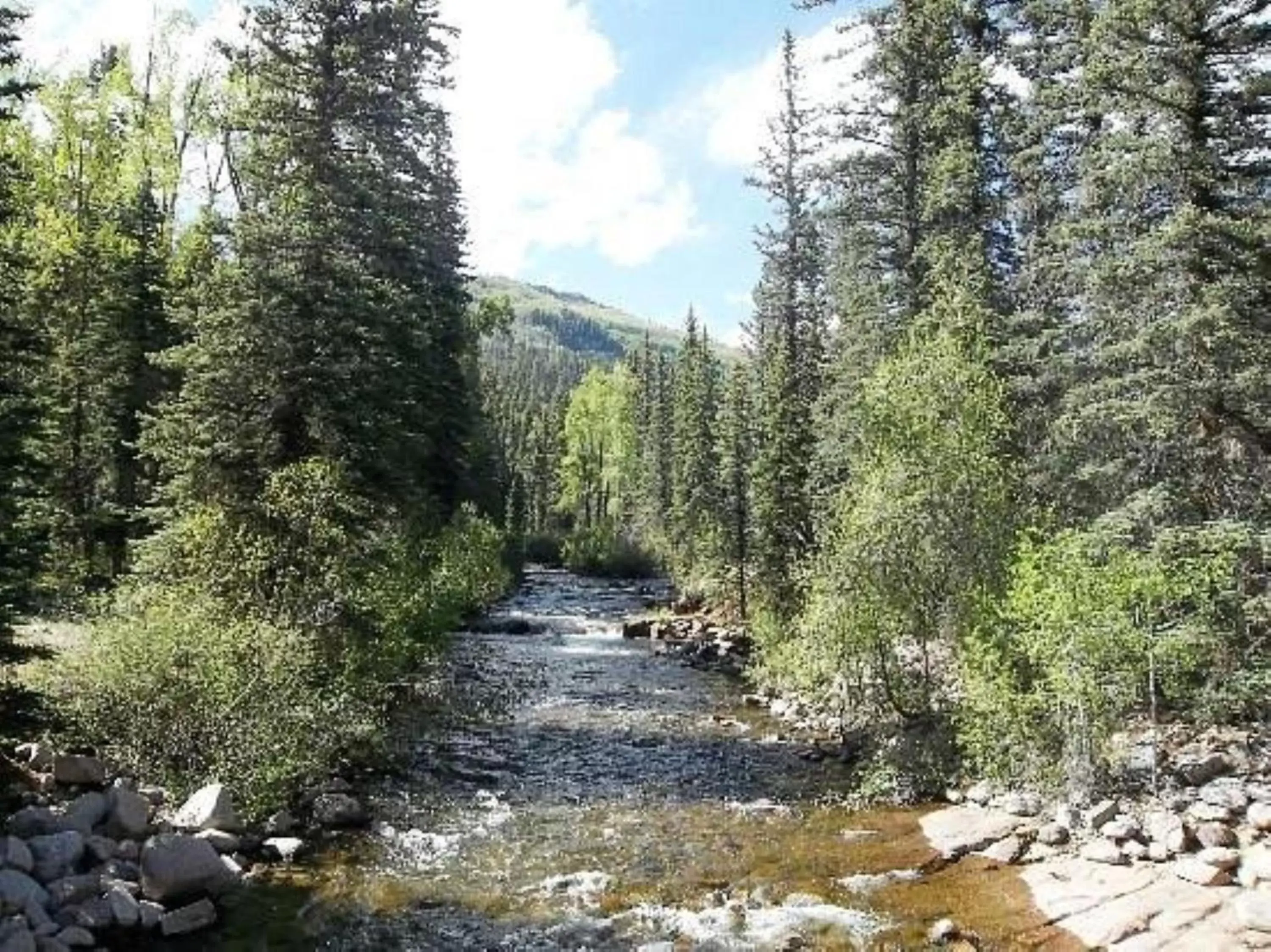 Nearby landmark in Holiday Inn Express Durango Downtown- Animas River