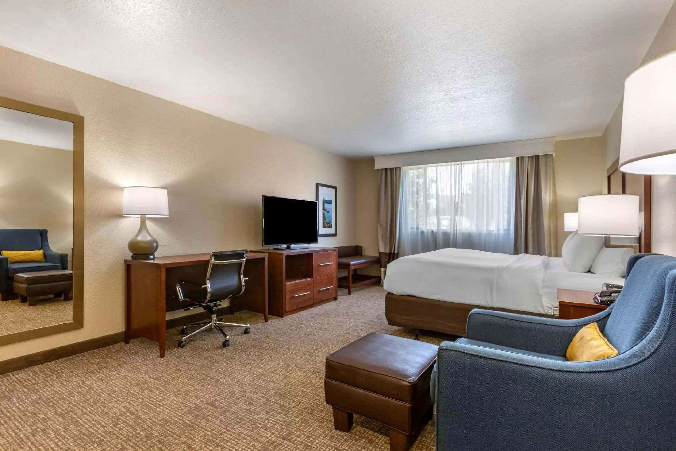 Bedroom, TV/Entertainment Center in Comfort Inn & Suites I-90 City Center