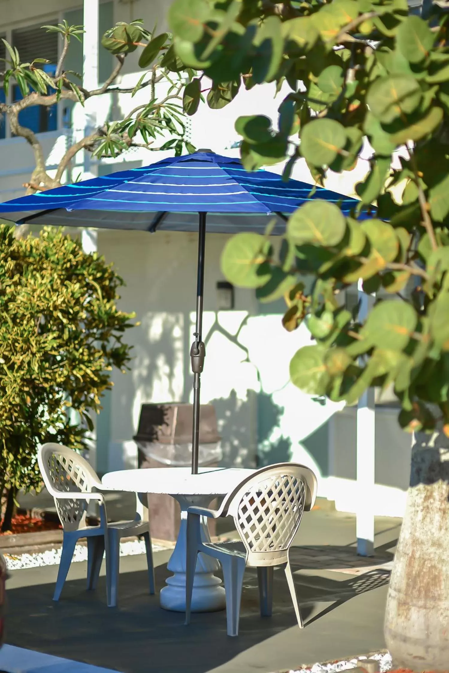 Patio in Regency Inn & Suites Sarasota