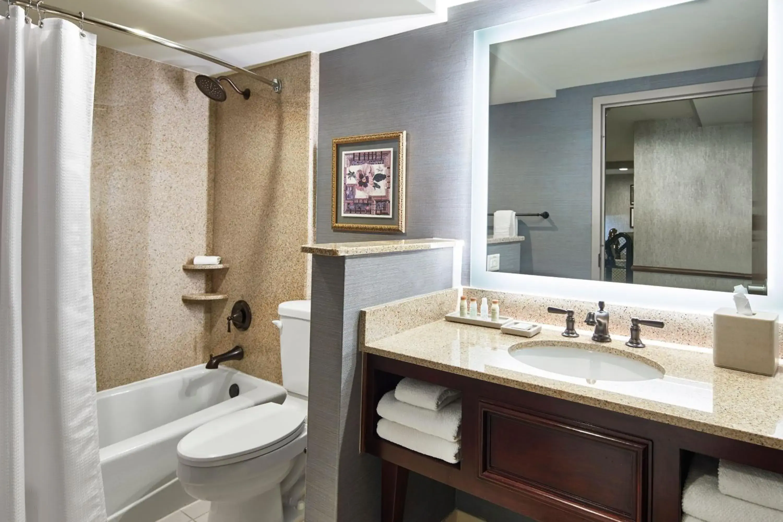 Bathroom in Renaissance by Marriott Mobile Riverview Plaza Hotel