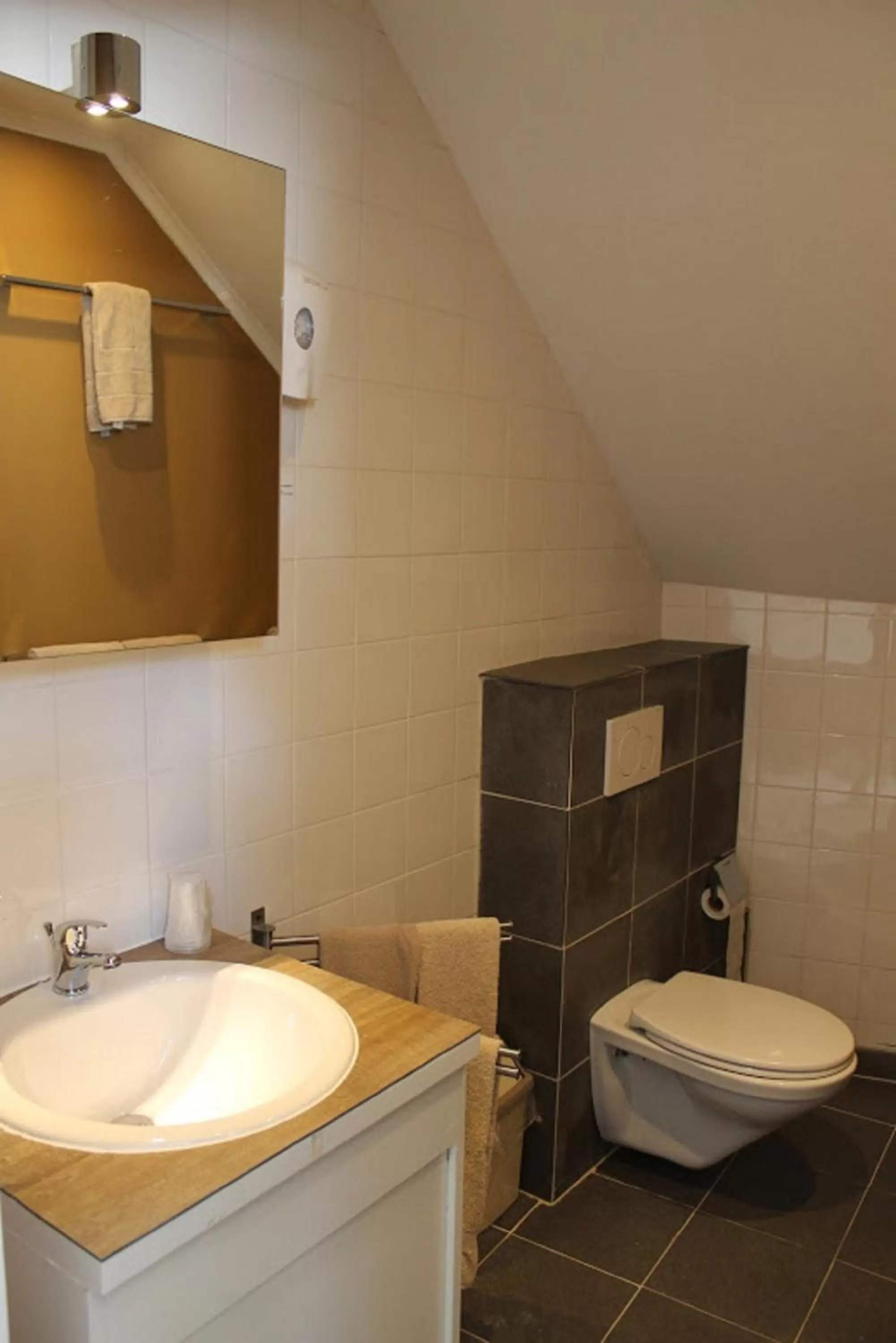 Bathroom in Canalview Hotel Ter Reien