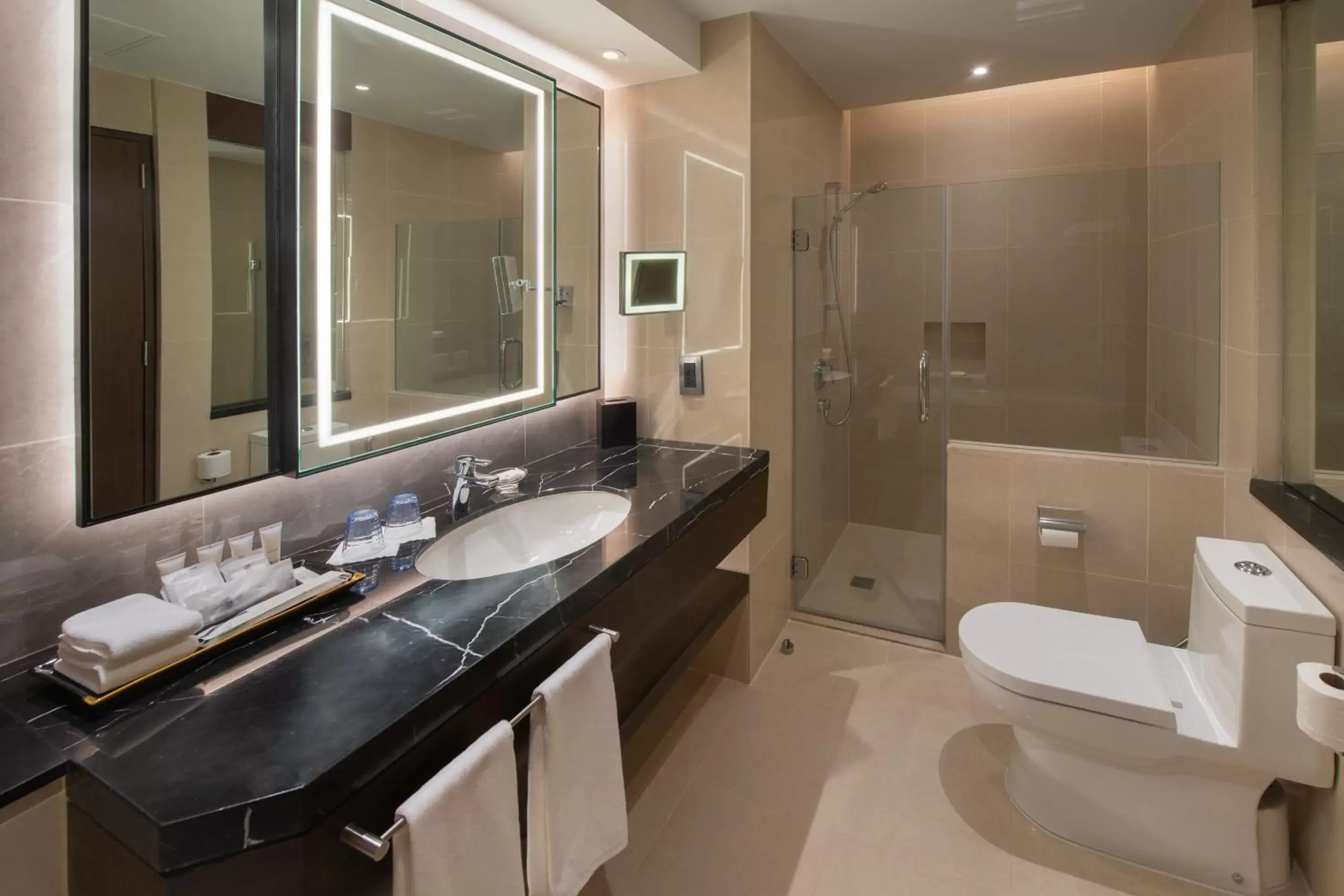 Bathroom in Crowne Plaza Manila Galleria, an IHG Hotel