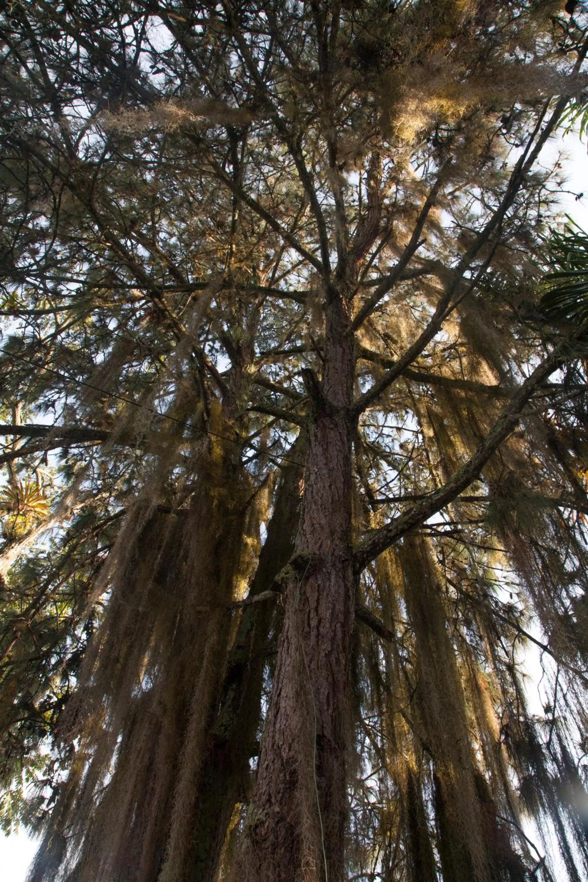 Property building in Hotel Hacienda Santa Barbara