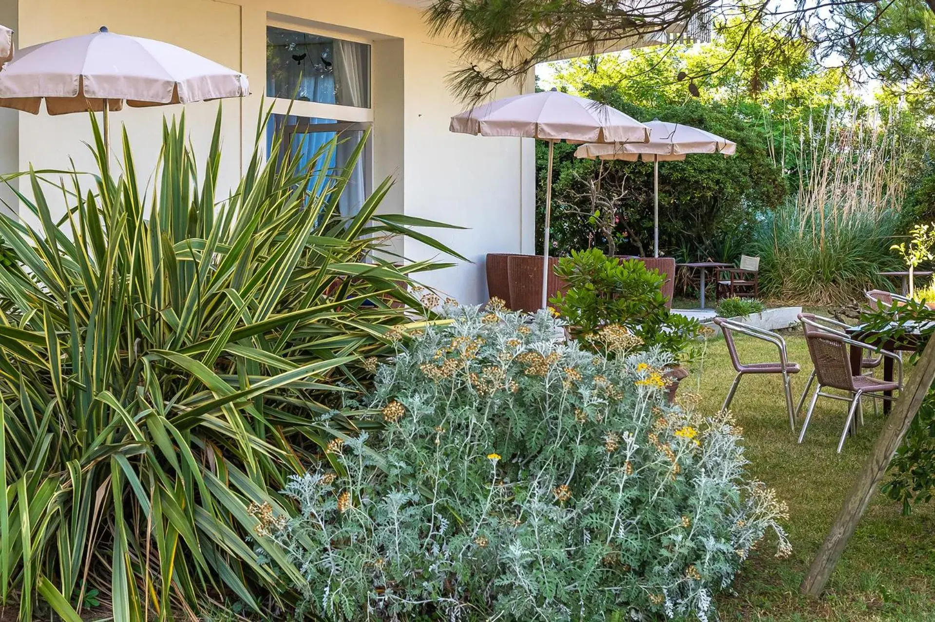 Garden, Property Building in Hotel City