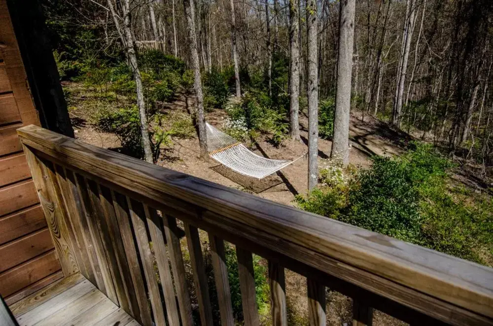 Mountain view in Asheville Cabins of Willow Winds