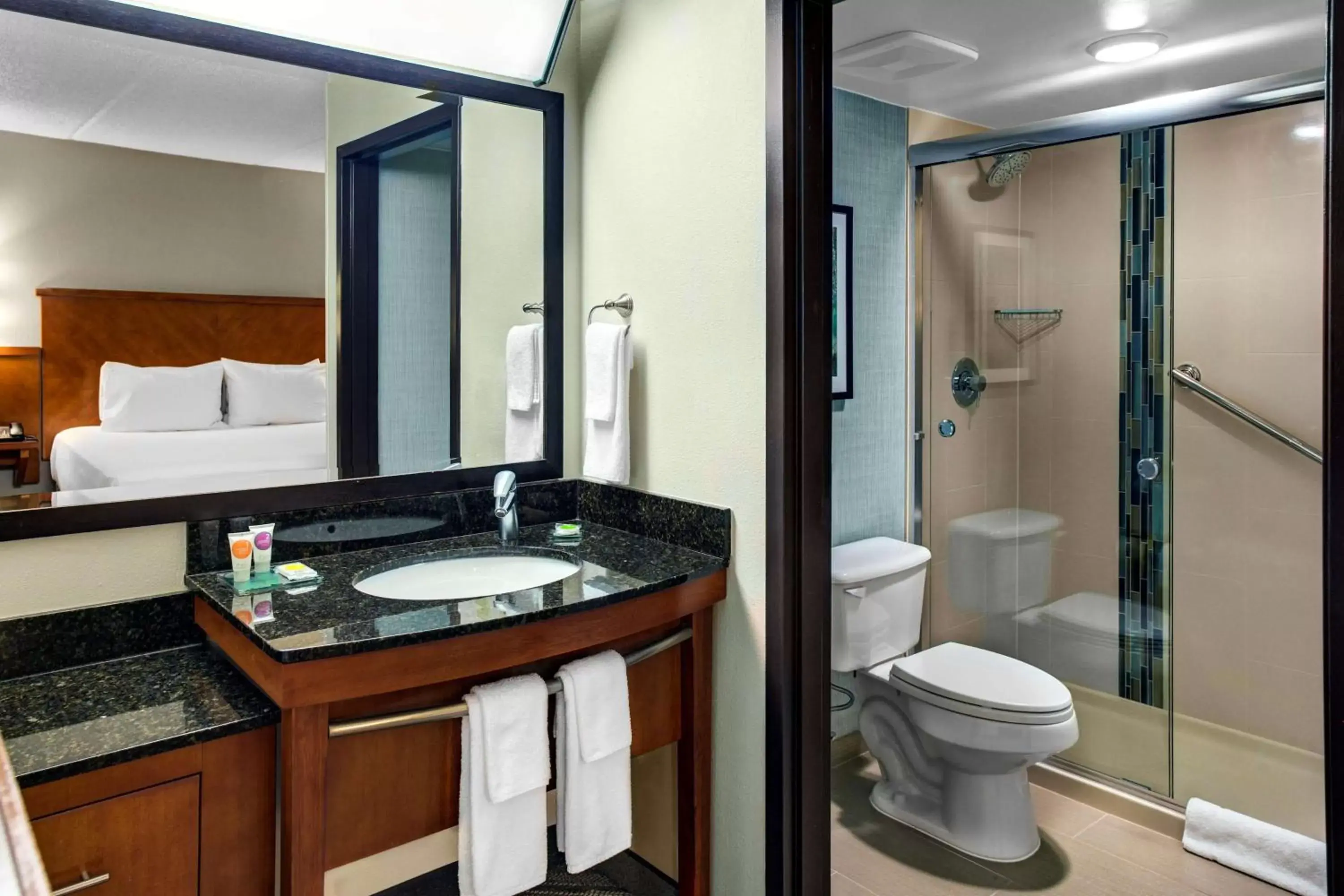 Shower, Bathroom in Extended Stay America Premier Suites - Cleveland - Independence