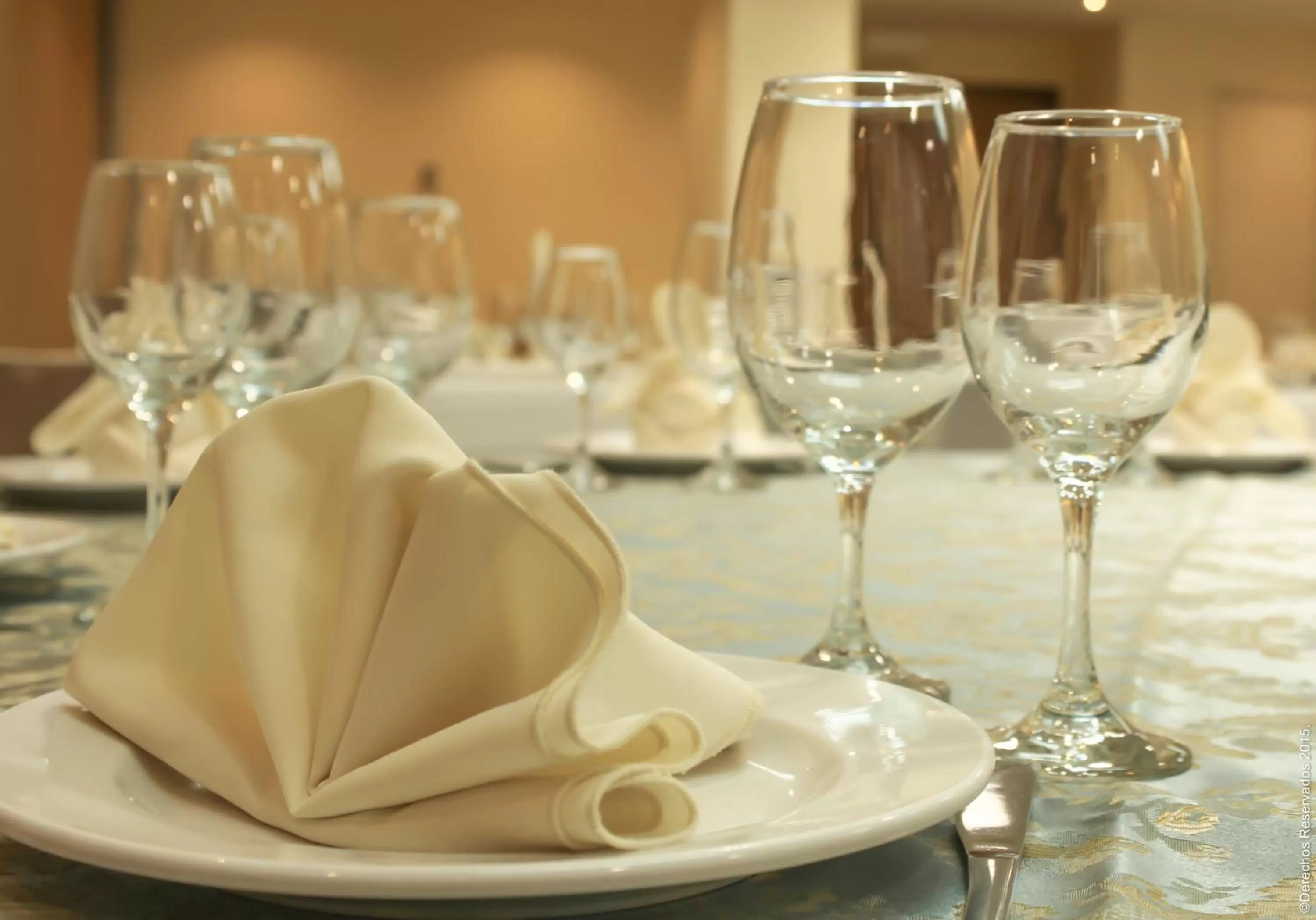Banquet/Function facilities in Holiday Inn Leon-Convention Center by IHG