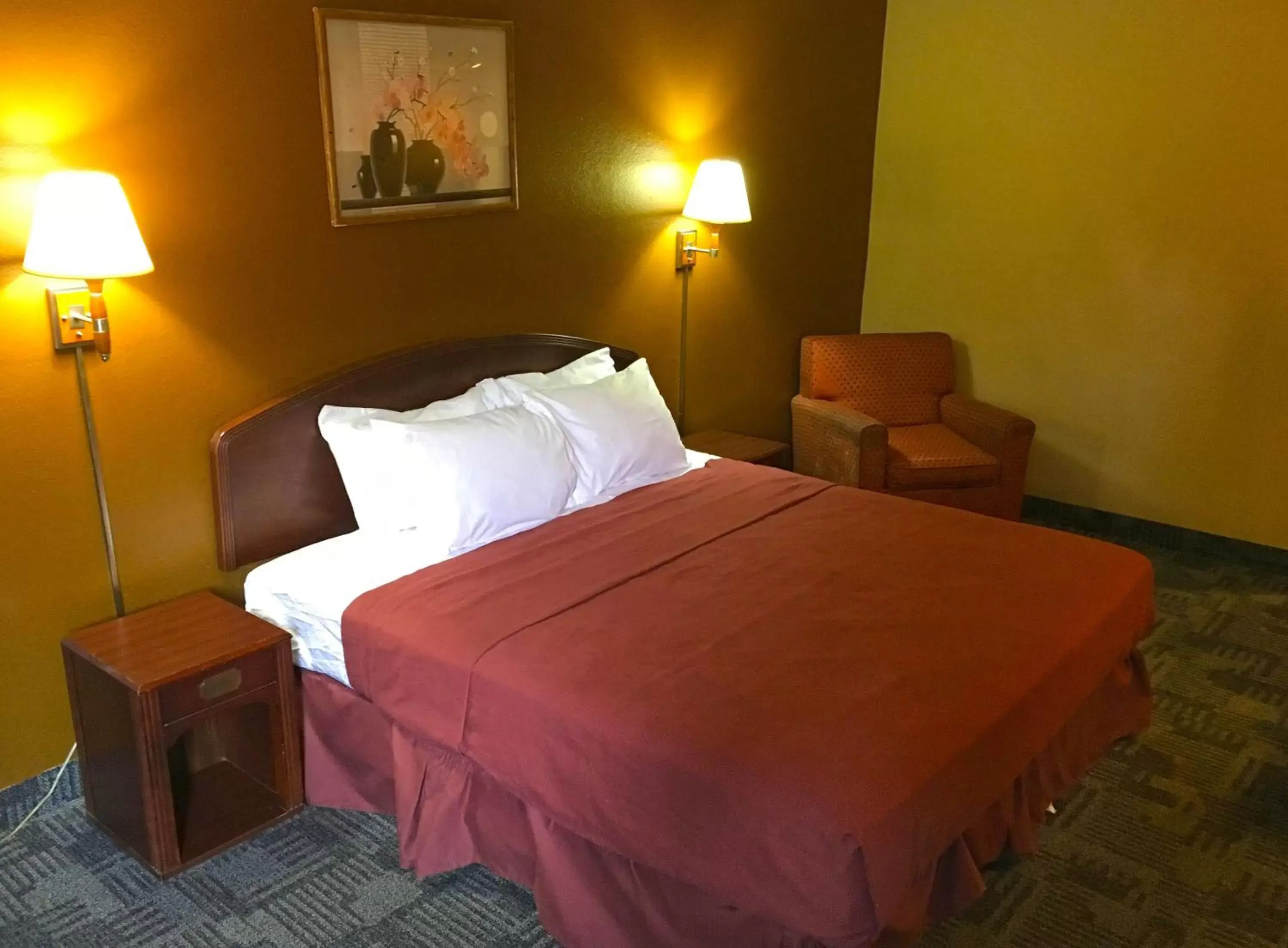 Bed in Americas Best Value Inn-Livonia/Detroit