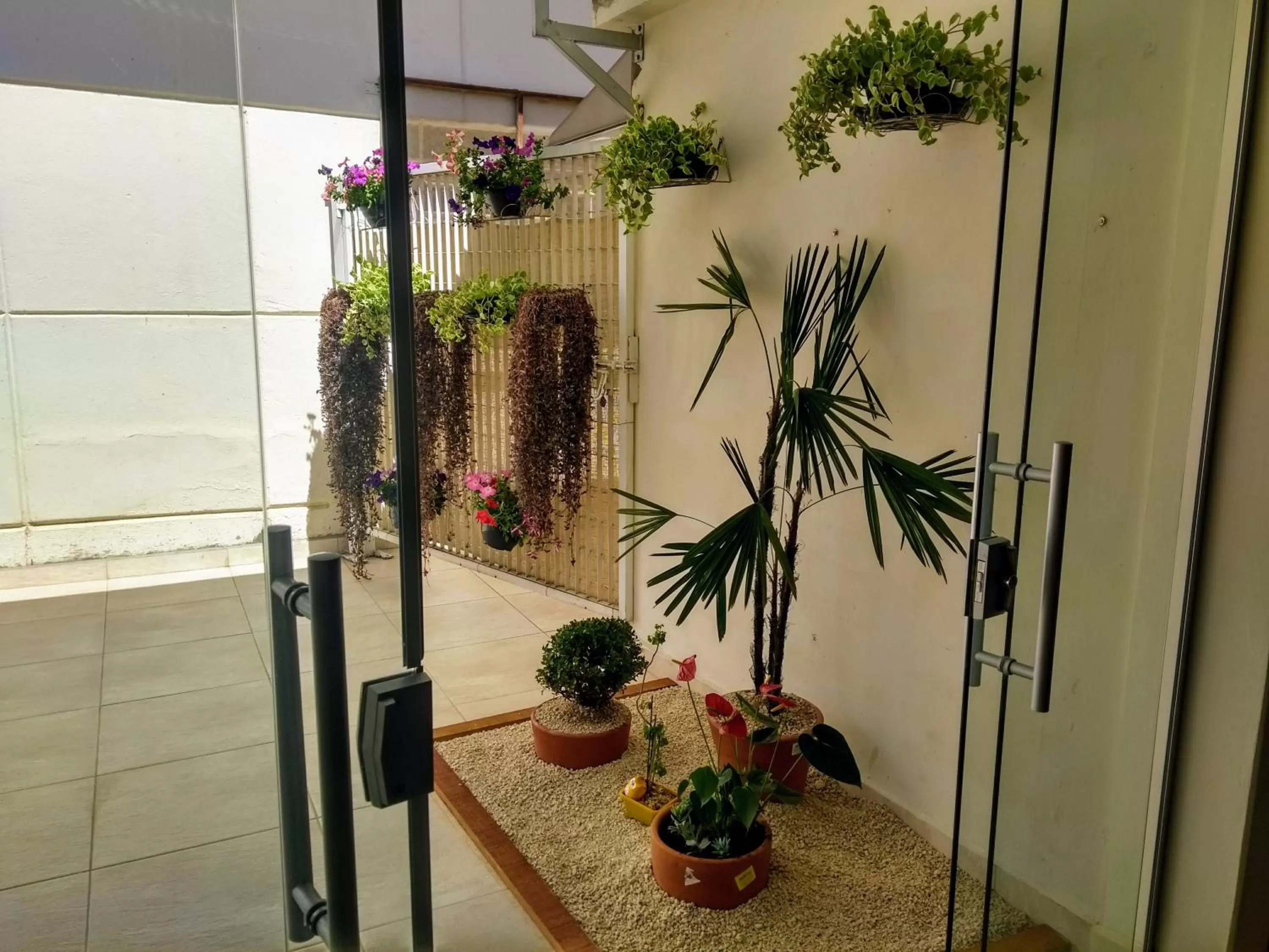 Balcony/Terrace in Aconchego