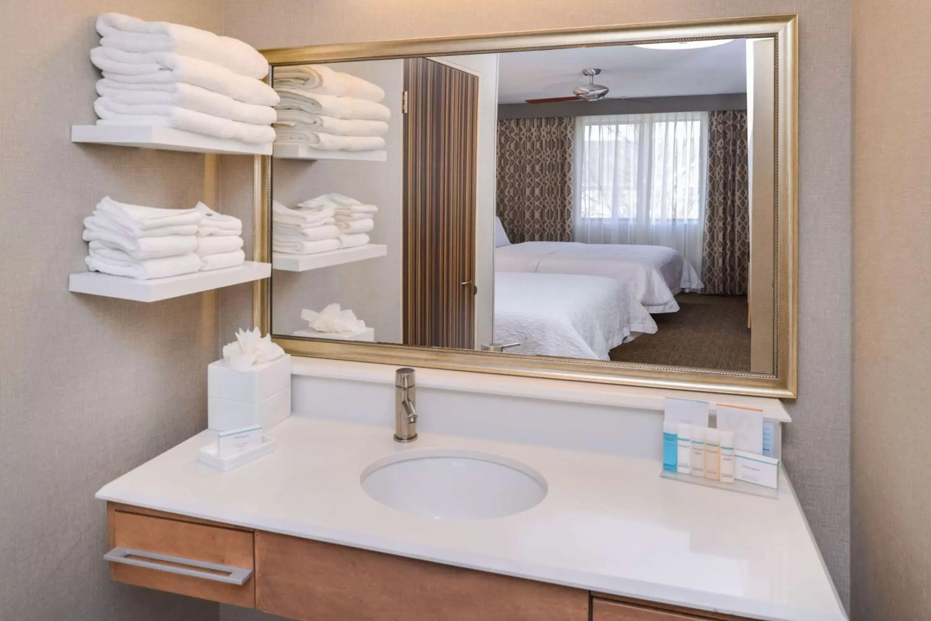 Bathroom in Hampton Inn & Suites Denver-Speer Boulevard