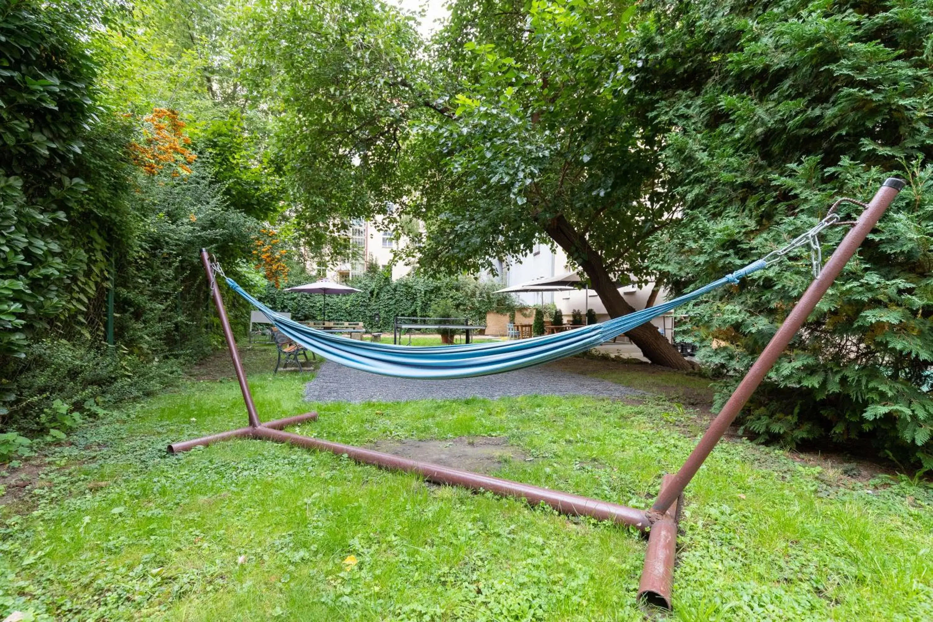 Garden in Hostel Dakura