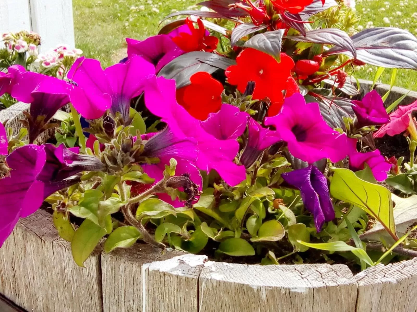 The Milton Accommodation