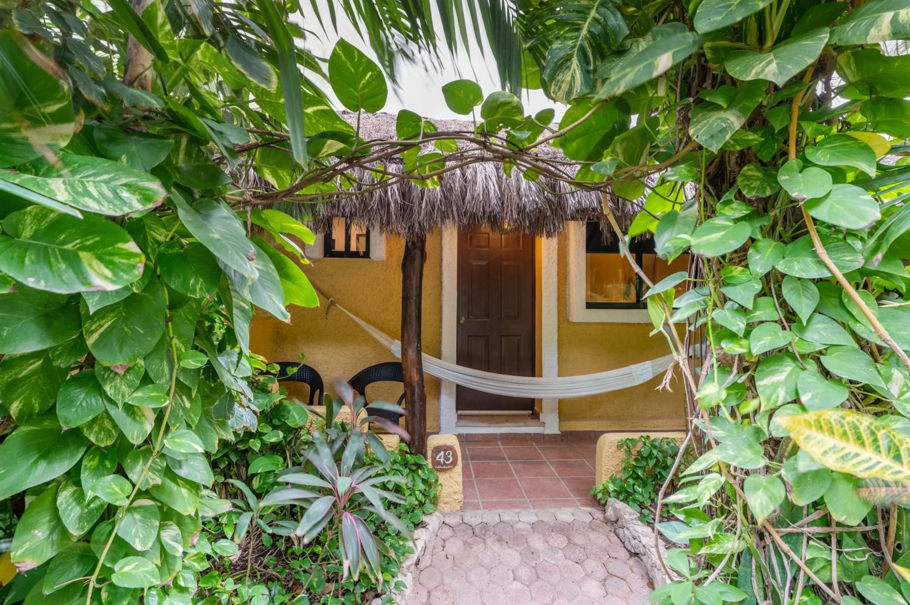 Garden view in Hotel Colibri Beach