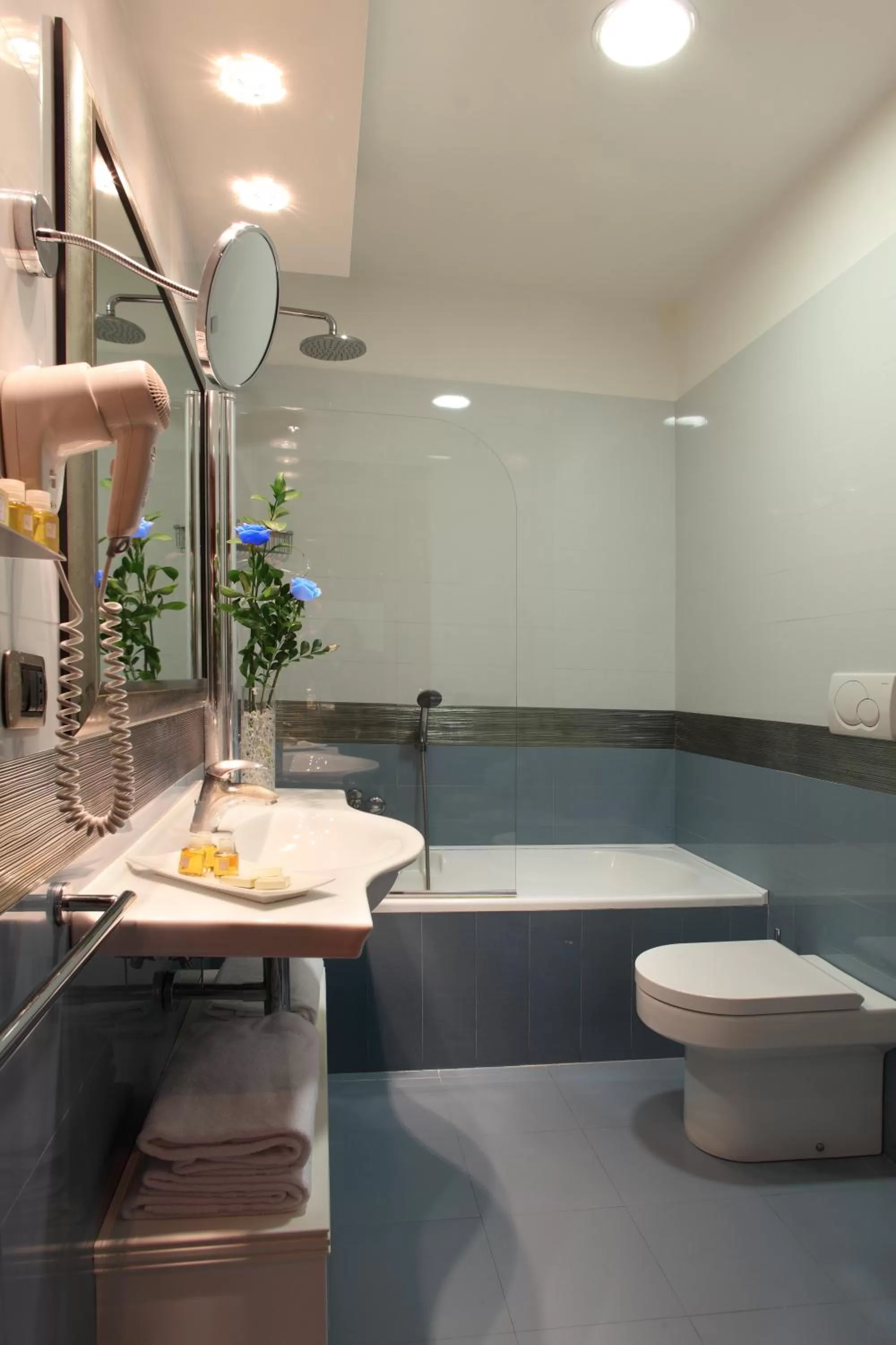 Bathroom in Hotel Serena srl