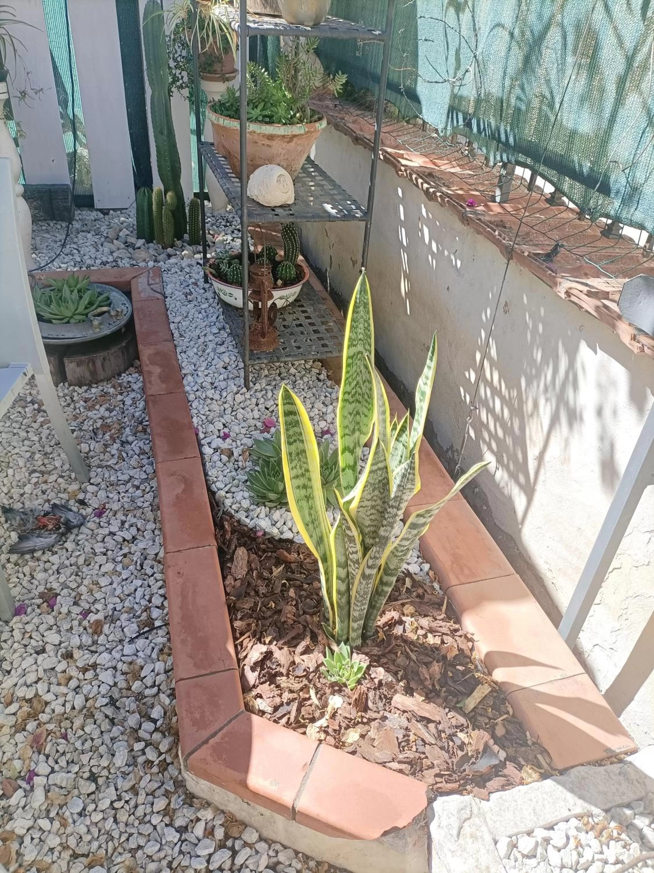 Garden in La Casa In Pietra