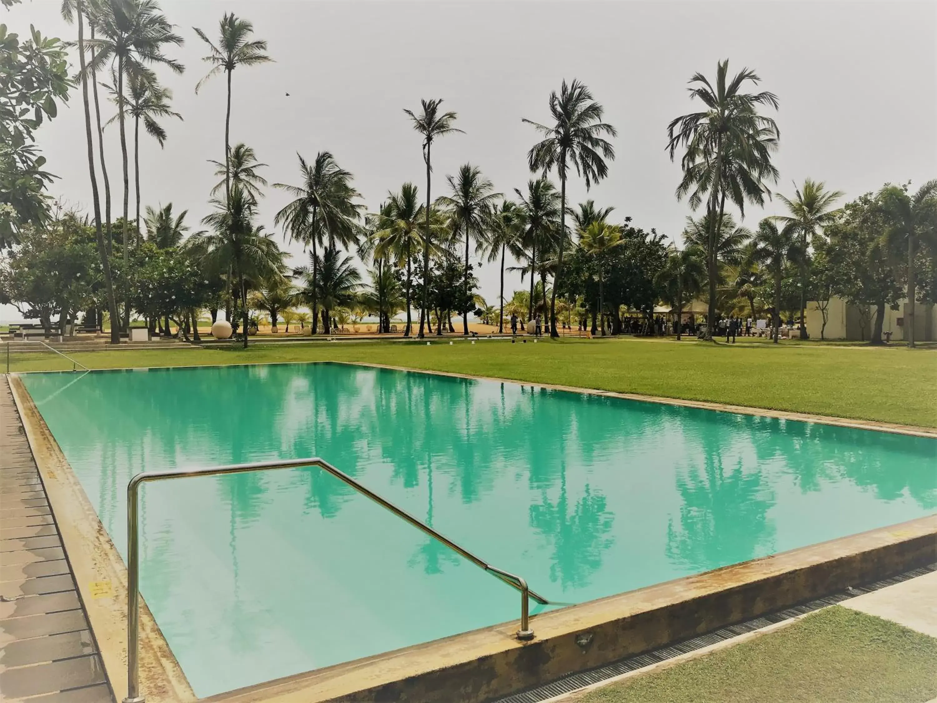 Garden, Swimming Pool in Pegasus Reef Hotel